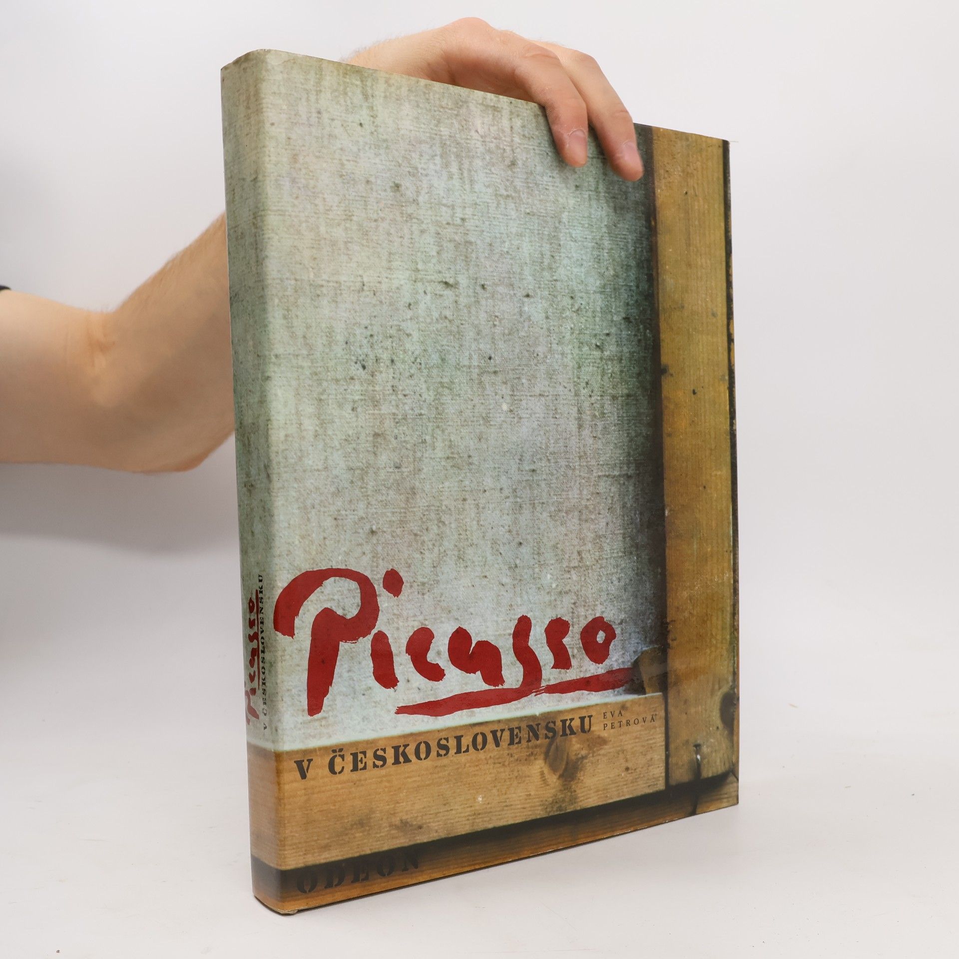Eva Petrová Picasso v Československu