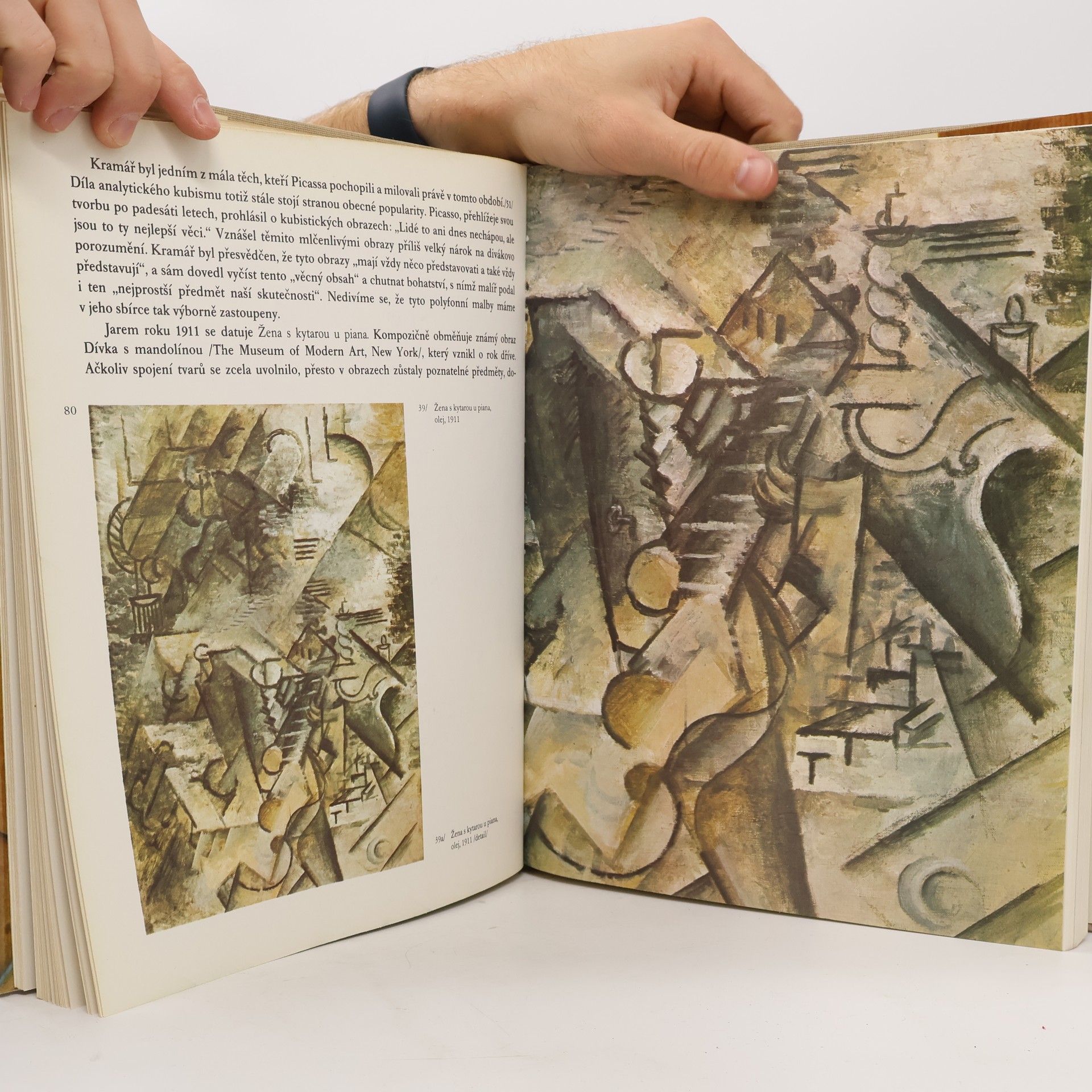 Eva Petrová Picasso v Československu