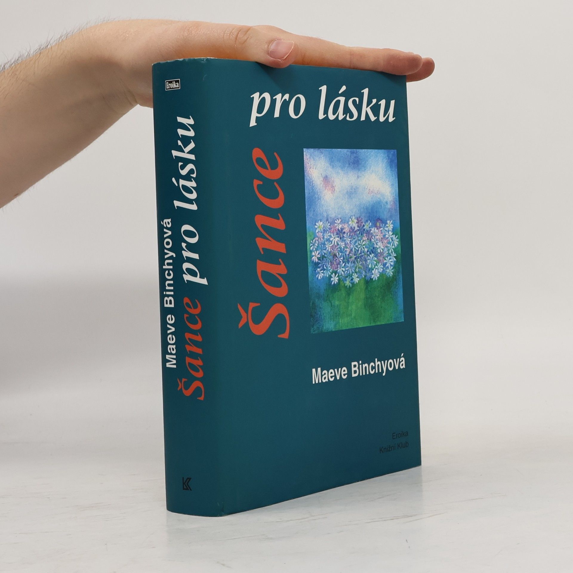 Maeve Binchy Šance pro lásku