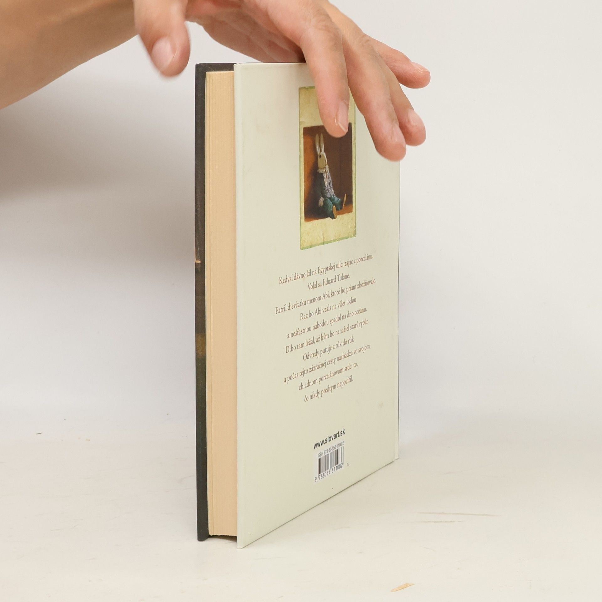Kate DiCamillo Eduard a jeho zázračná cesta