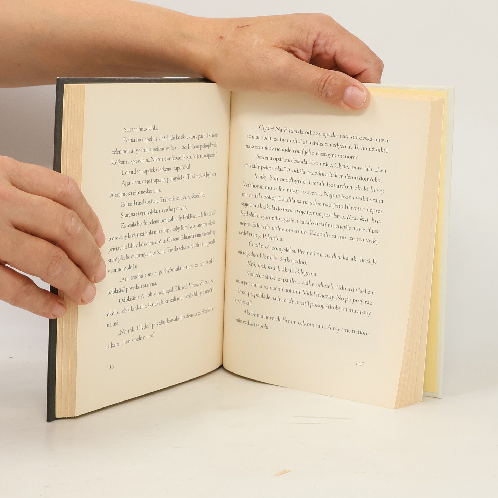 Kate DiCamillo Eduard a jeho zázračná cesta