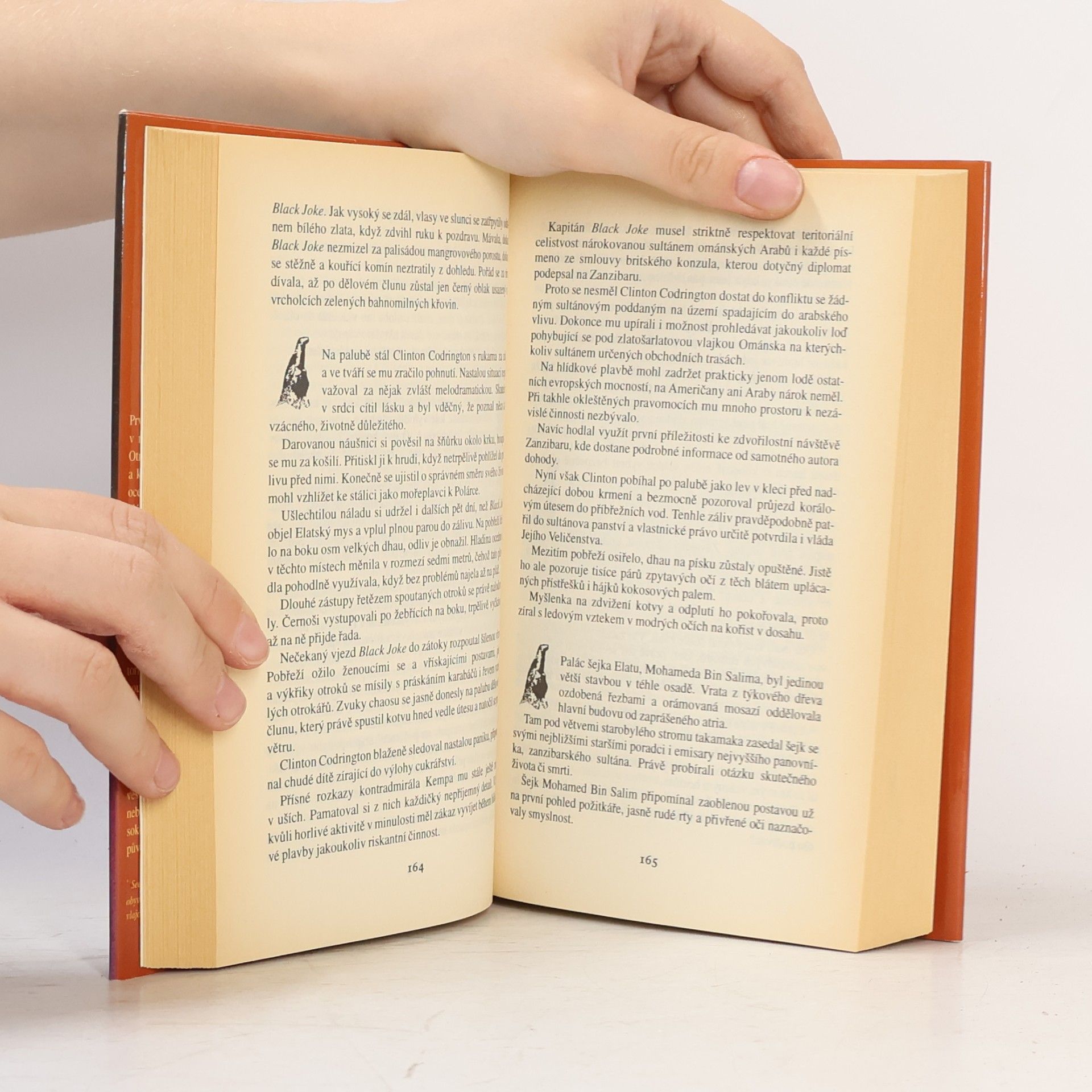 Wilbur Smith Říše kamenného sokola