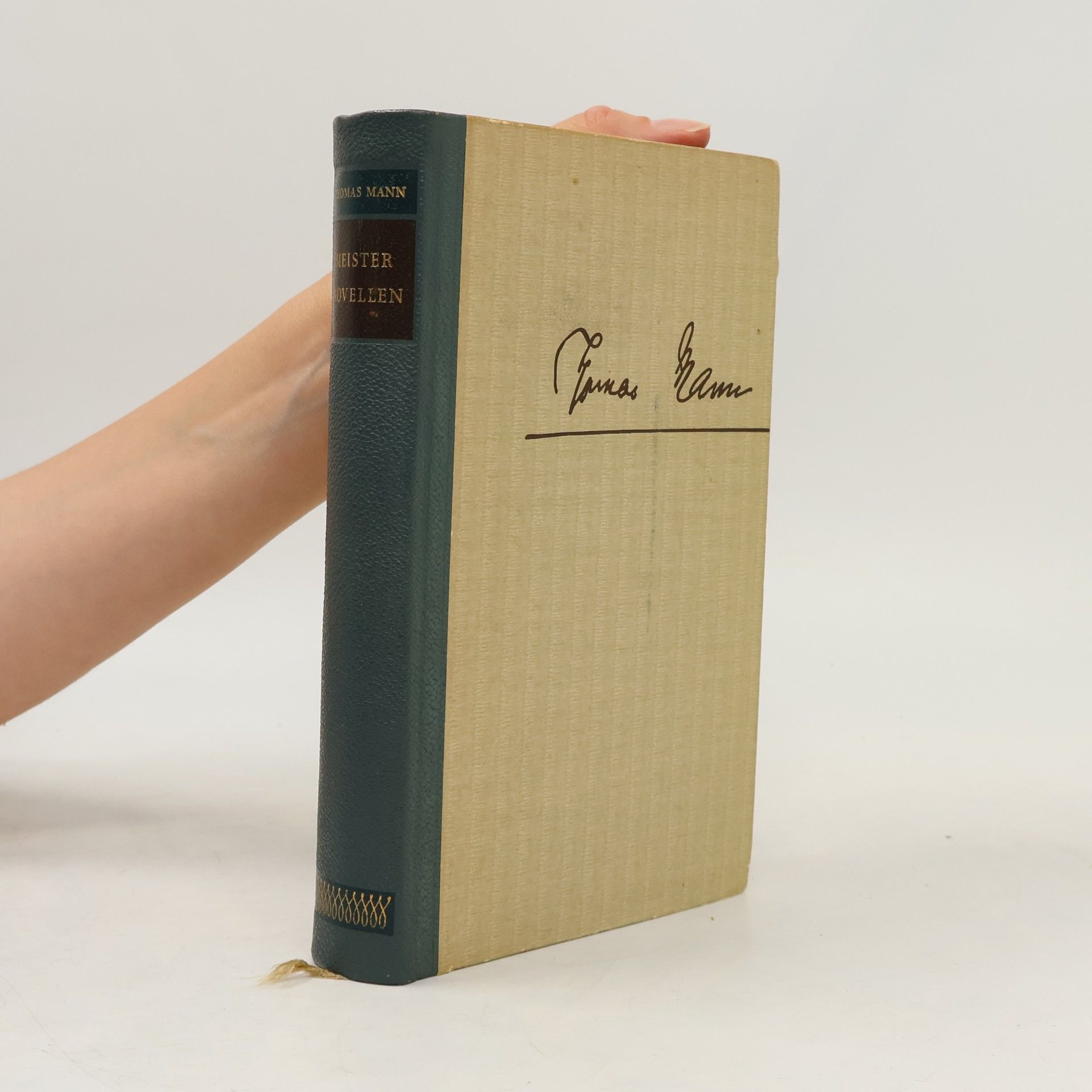 Thomas Mann Meisternovellen