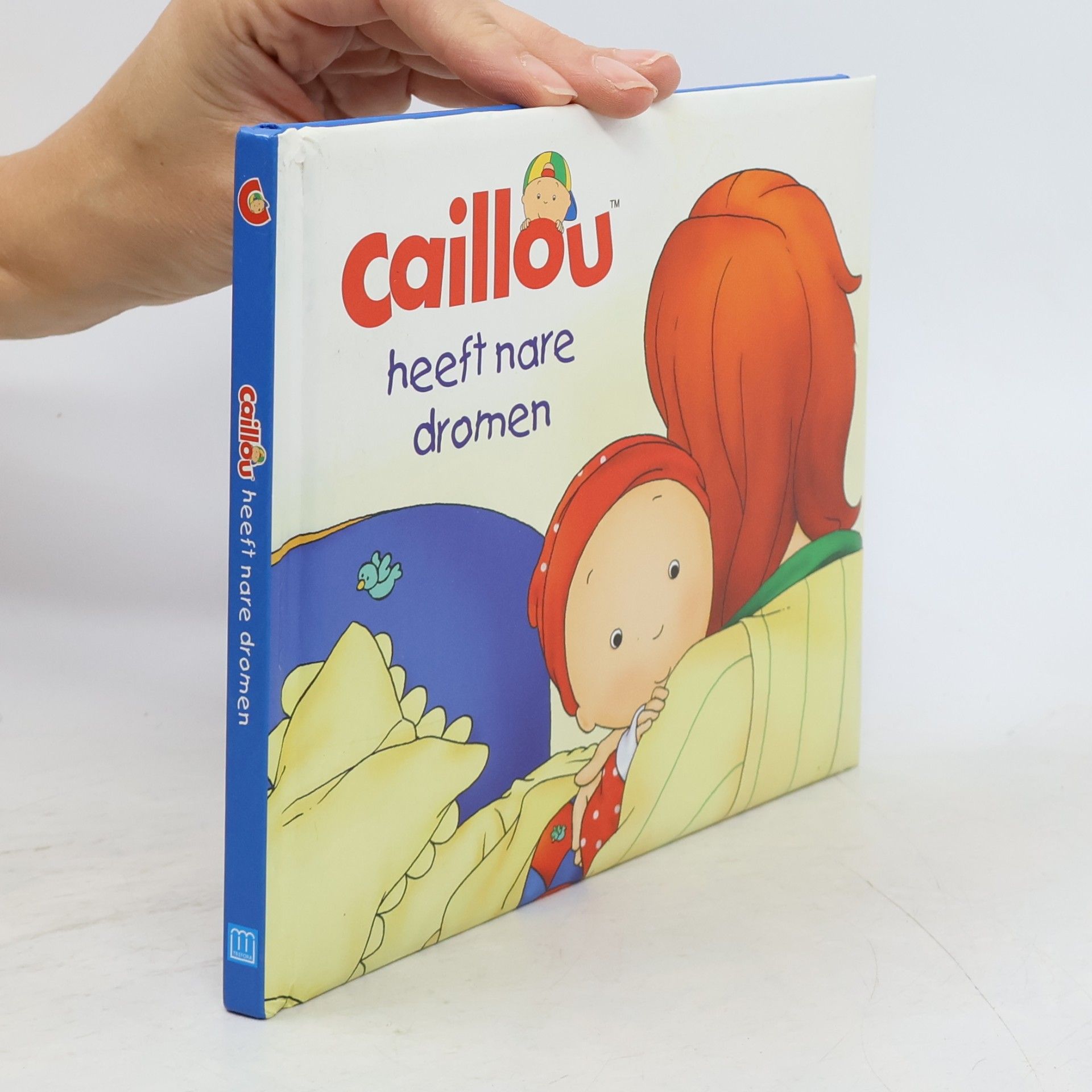 Autores varios Caillou heeft nare dromen
