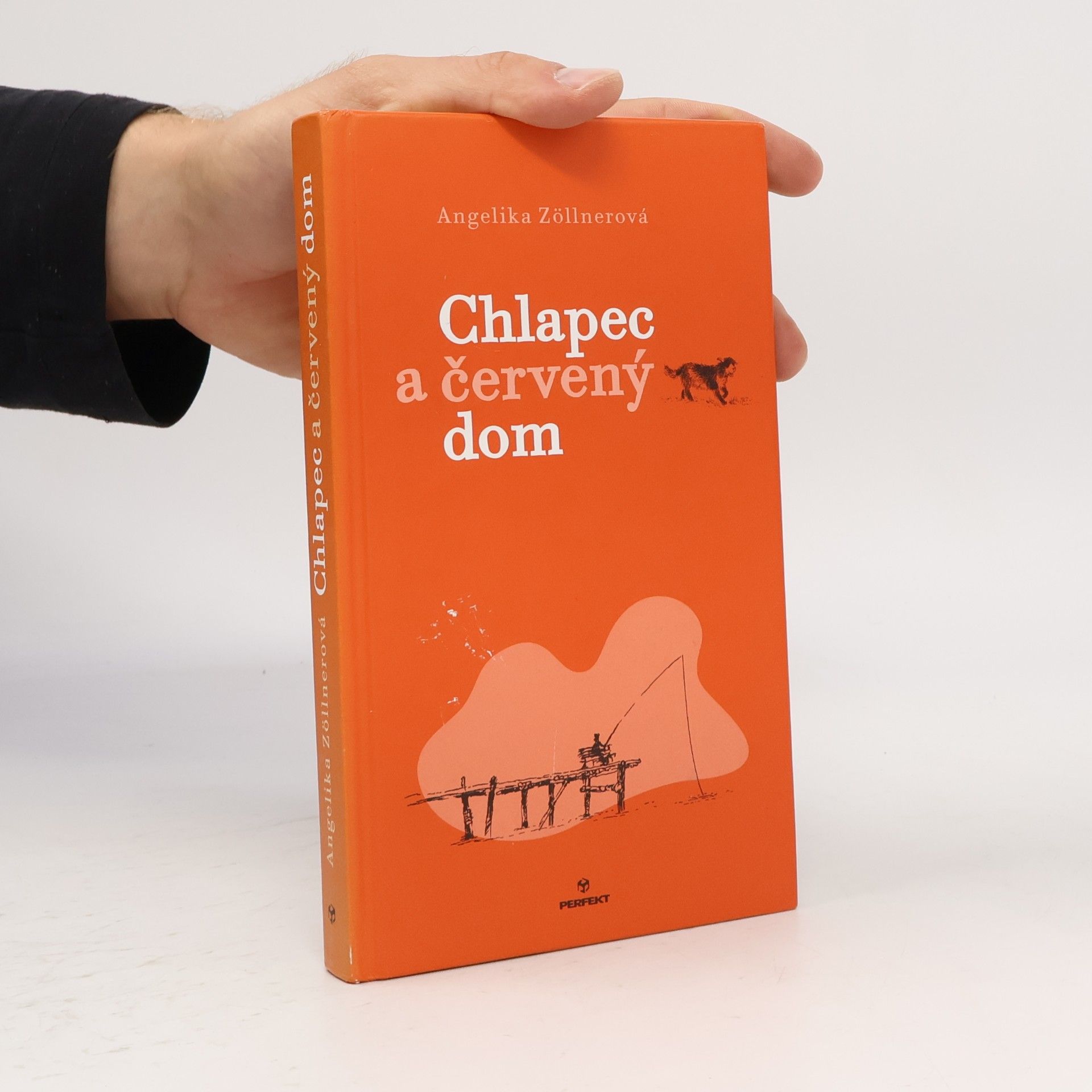 Angelika Zöllner Chlapec a červený dom