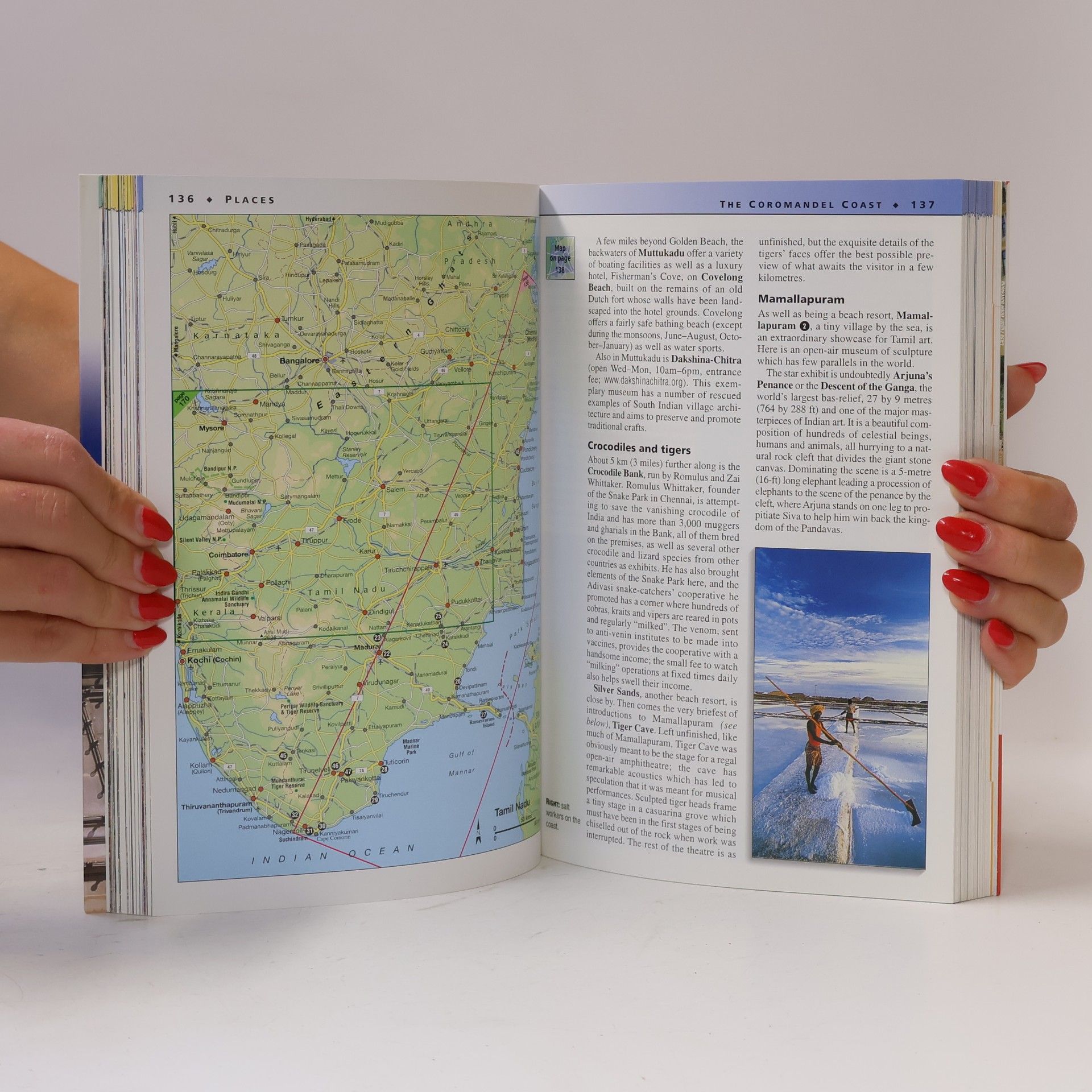Maria Lord Insight Guides: South India