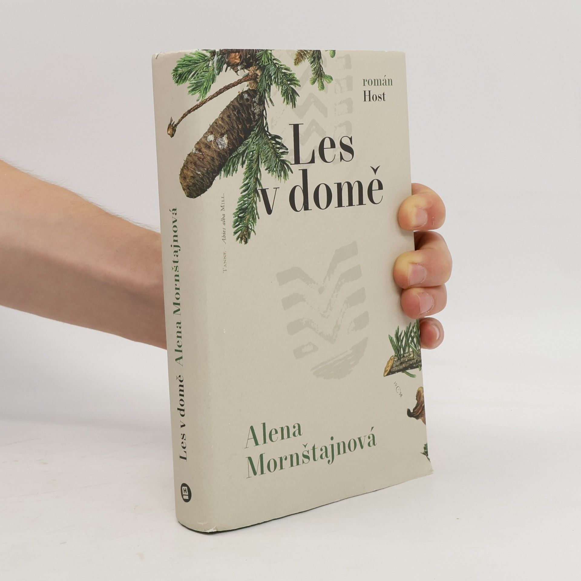 Alena Mornštajnová Les v domě