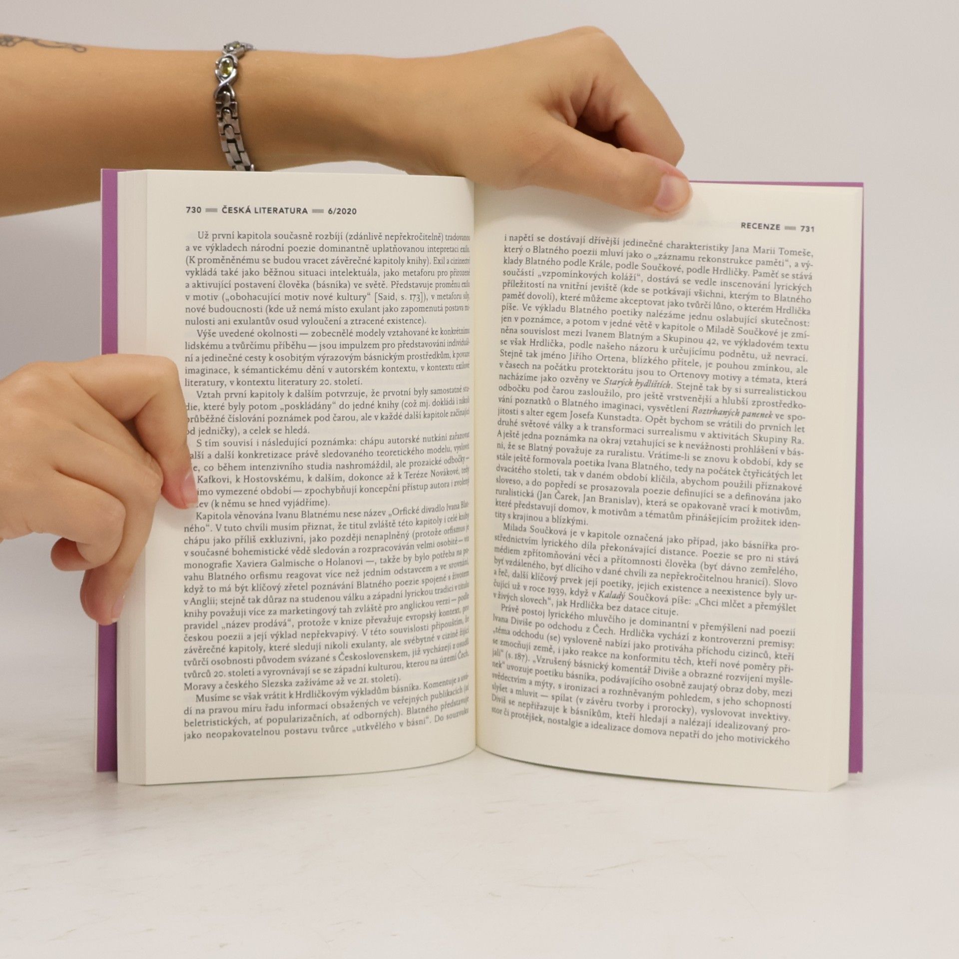 Pavel Šidák Česká literatura 6-2020