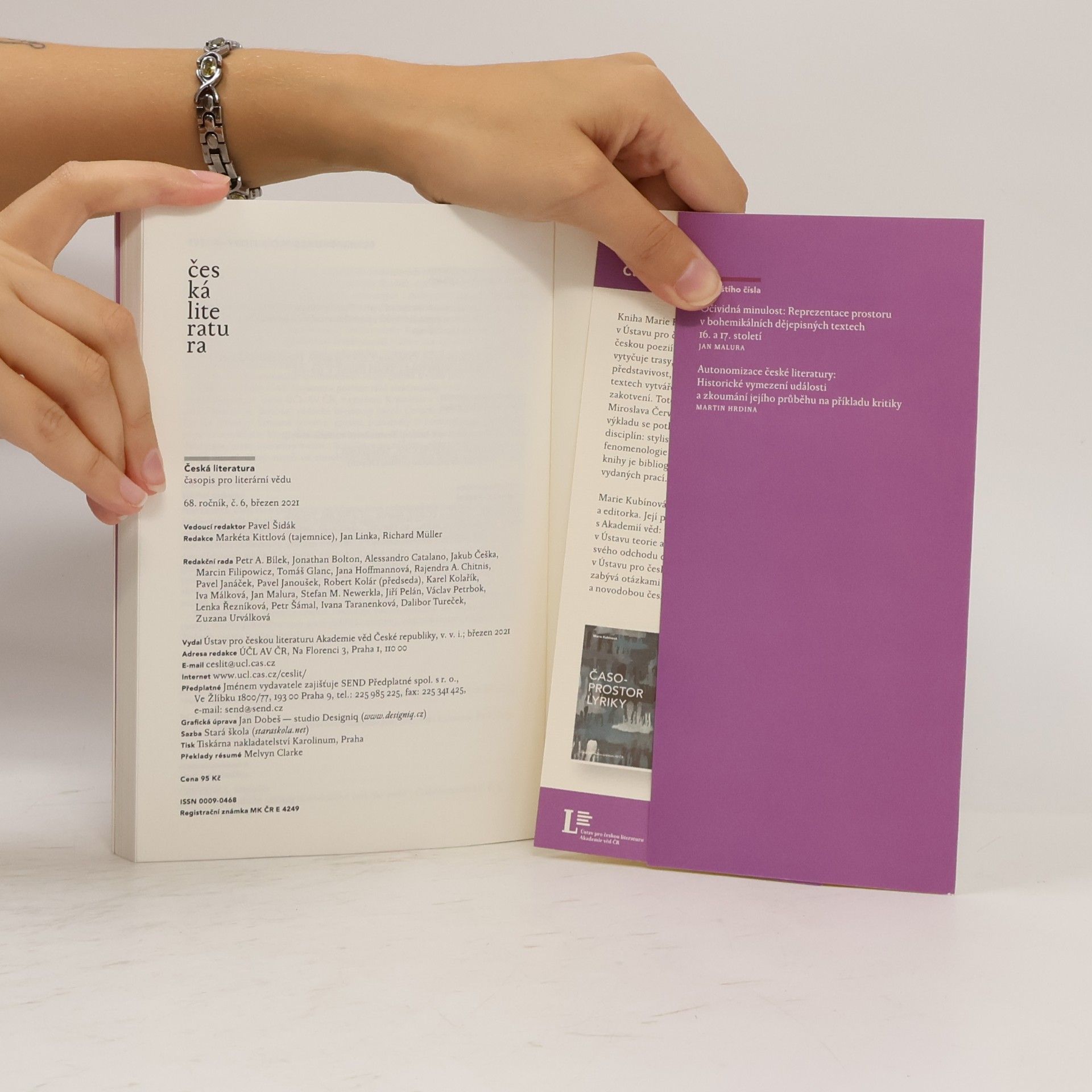Pavel Šidák Česká literatura 6-2020