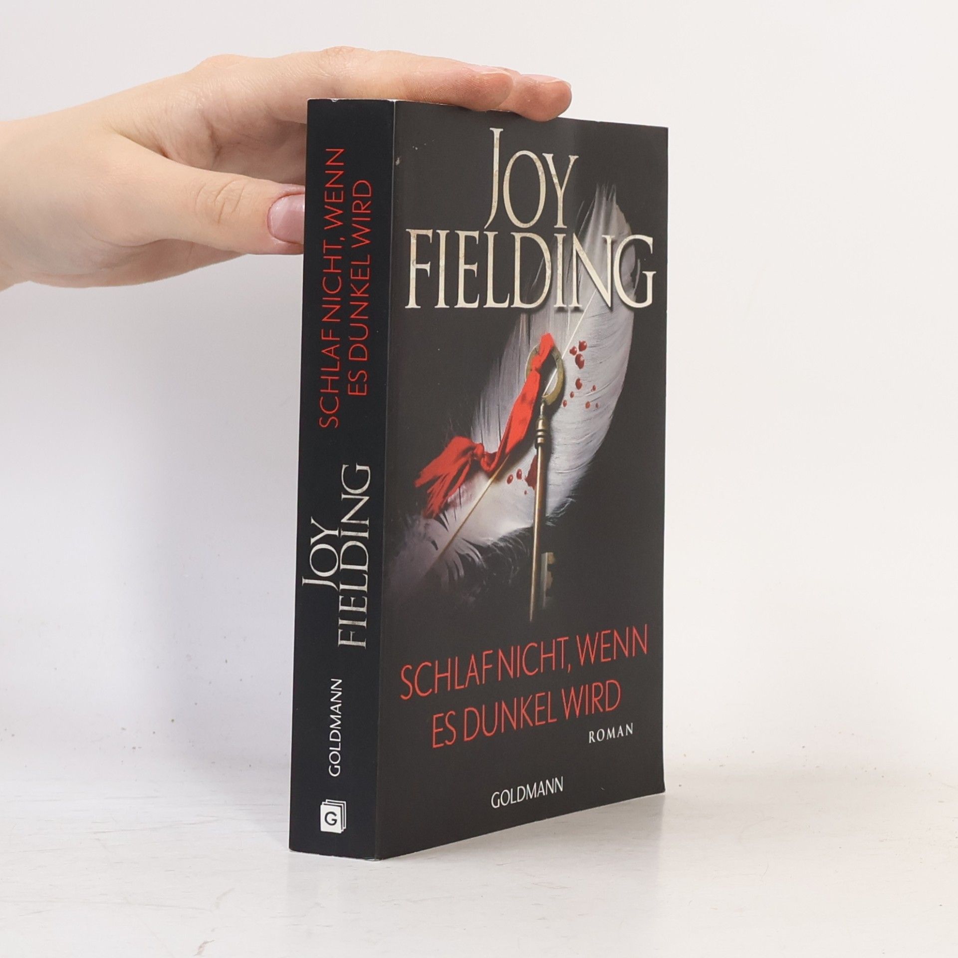 Joy Fielding Schlaf nicht, wenn es dunkel wird