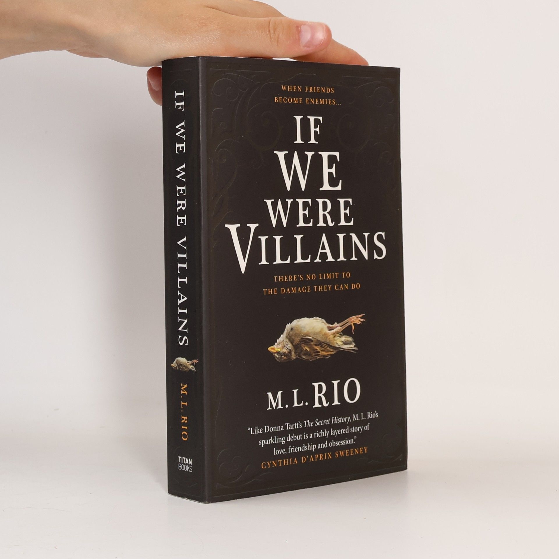 M. L. Rio If We Were Villains