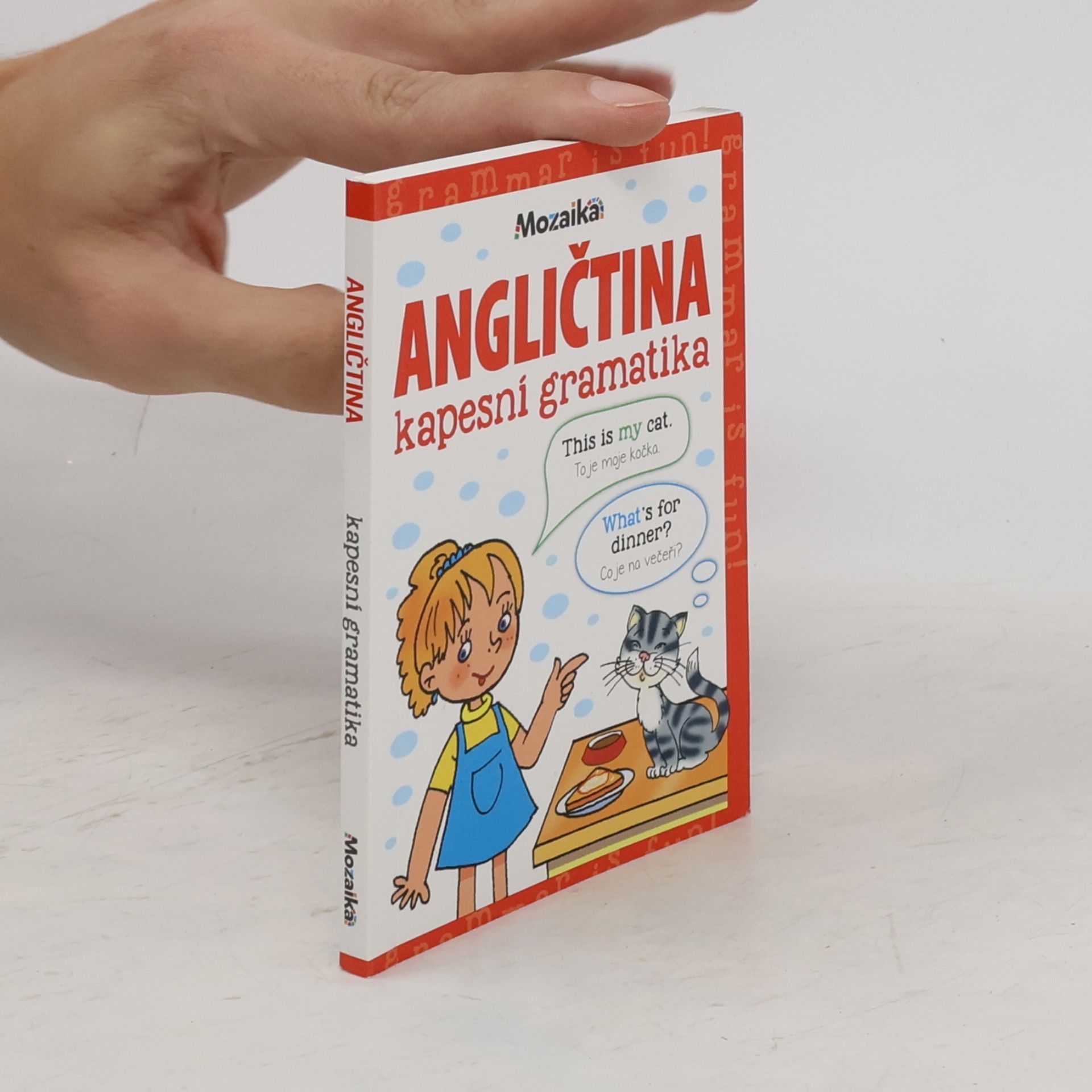 Martina Kutalová Angličtina - kapesní gramatika