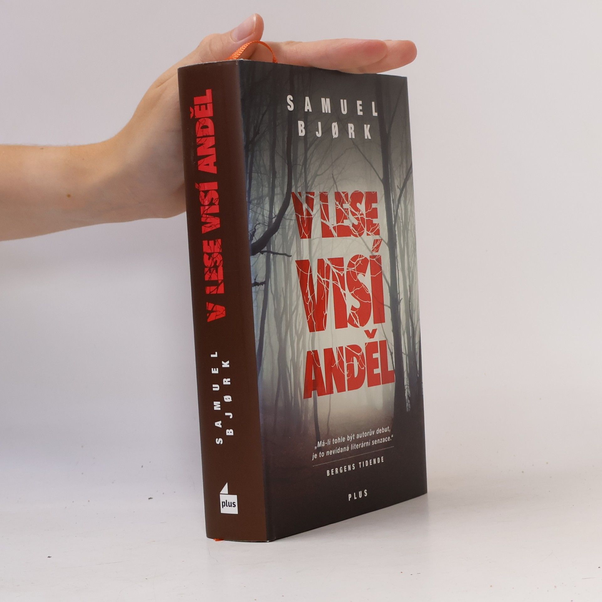 Samuel Bjork V lese visí anděl