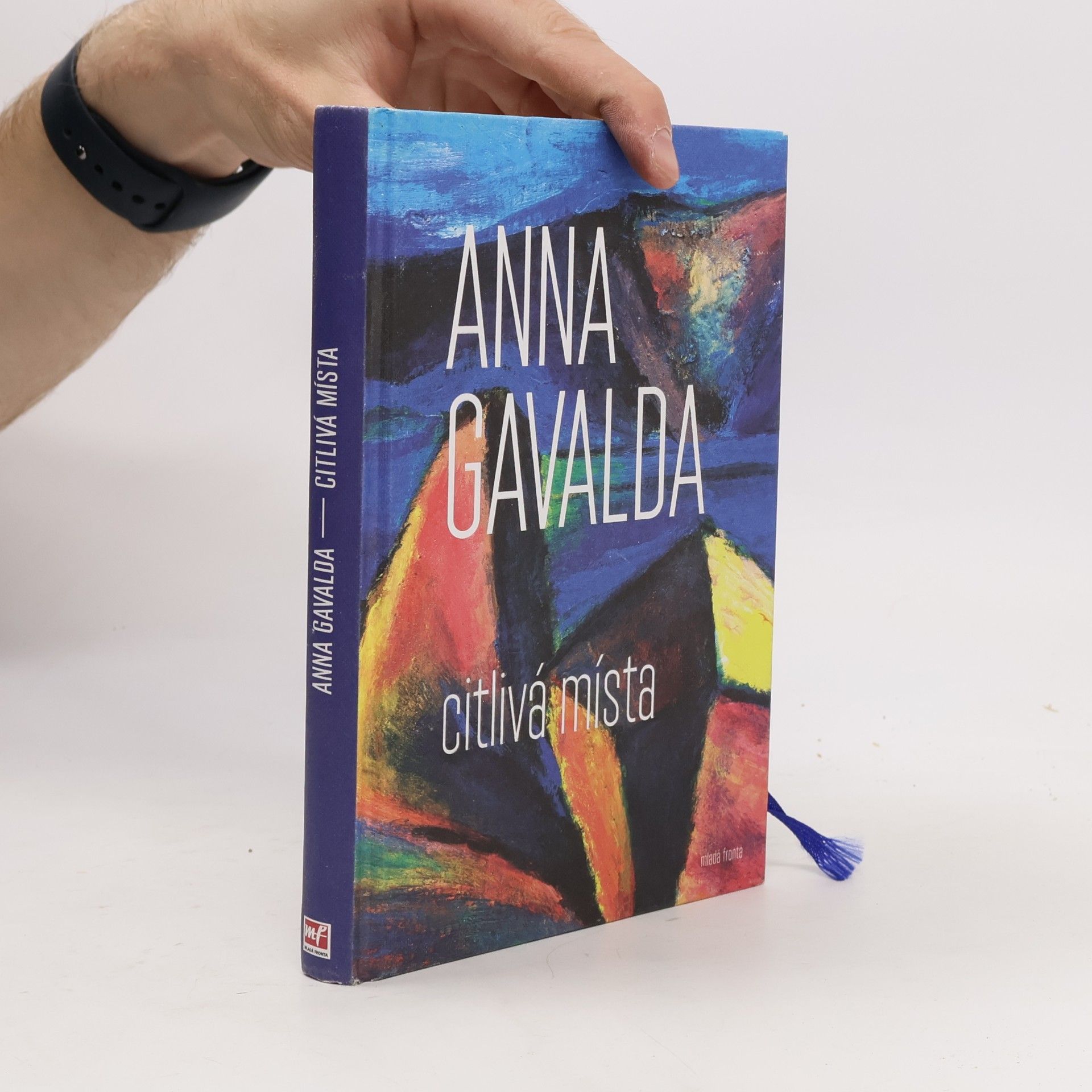 Anna Gavalda Citlivá místa