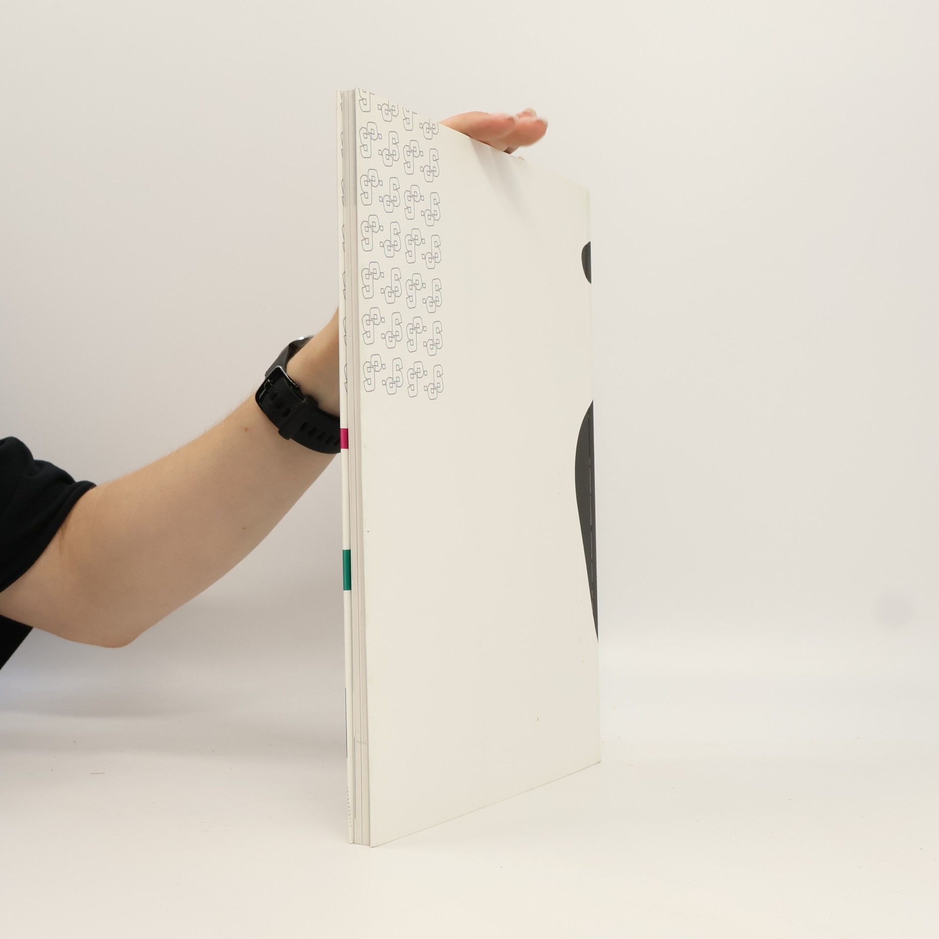 Libuše Staňková Dějiny knižní kultury a grafického designu 1. díl. Od počátků do osvícenství