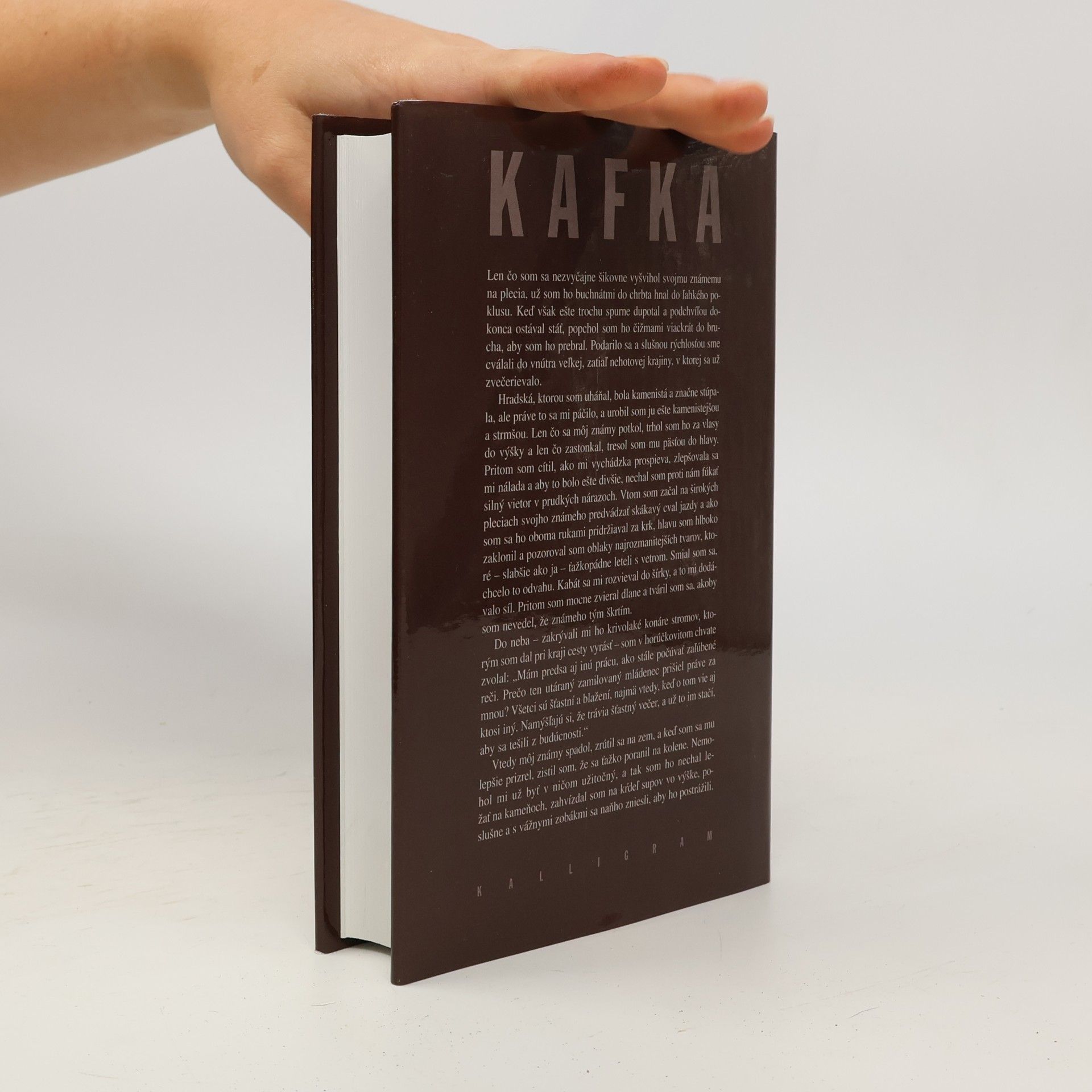 Franz Kafka Poviedky