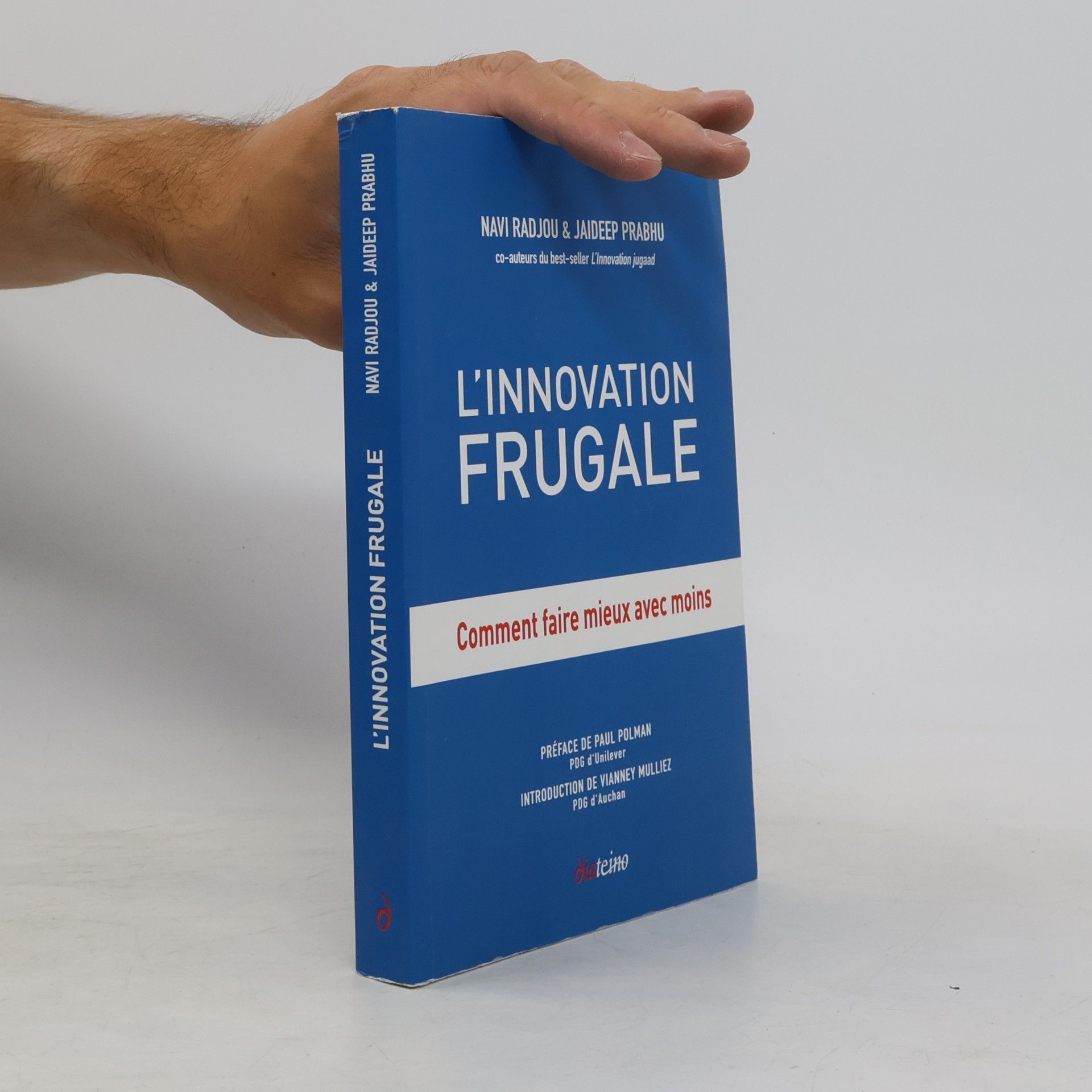 Navi Radjou L'innovation frugale