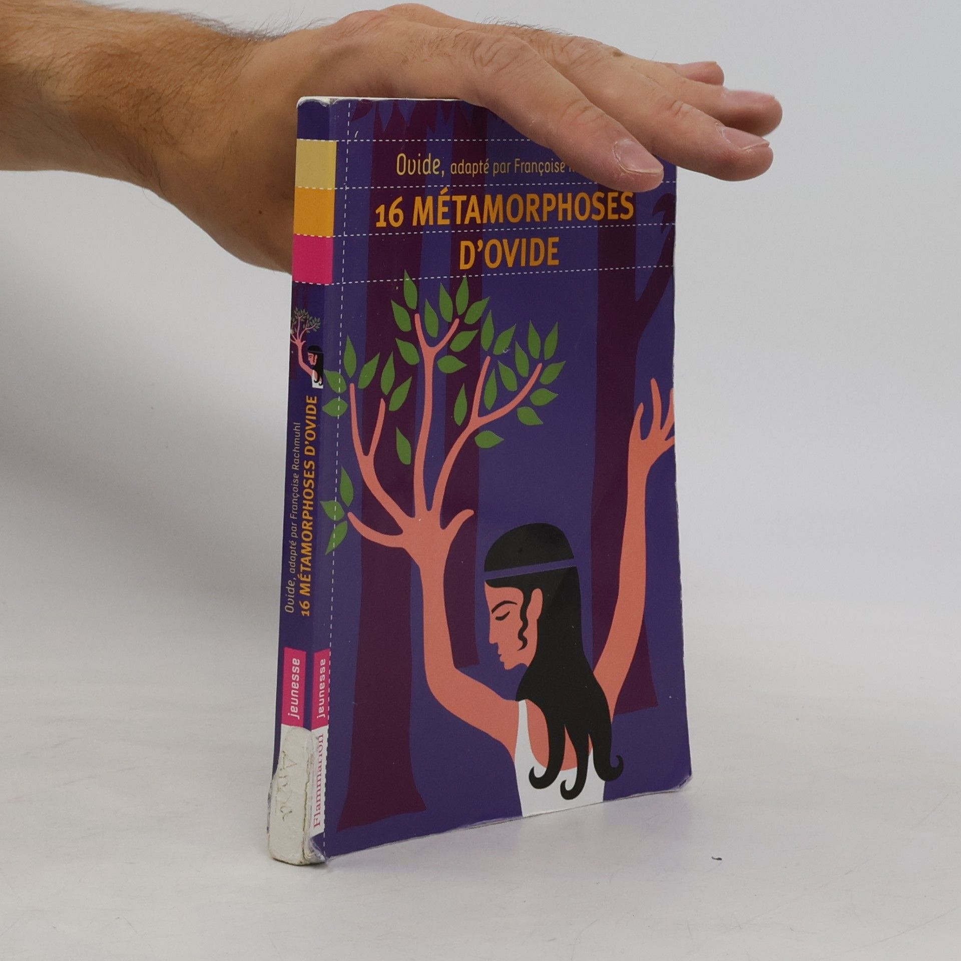 Frédéric Sochard jeunesse: 16 métamorphoses d'Ovide