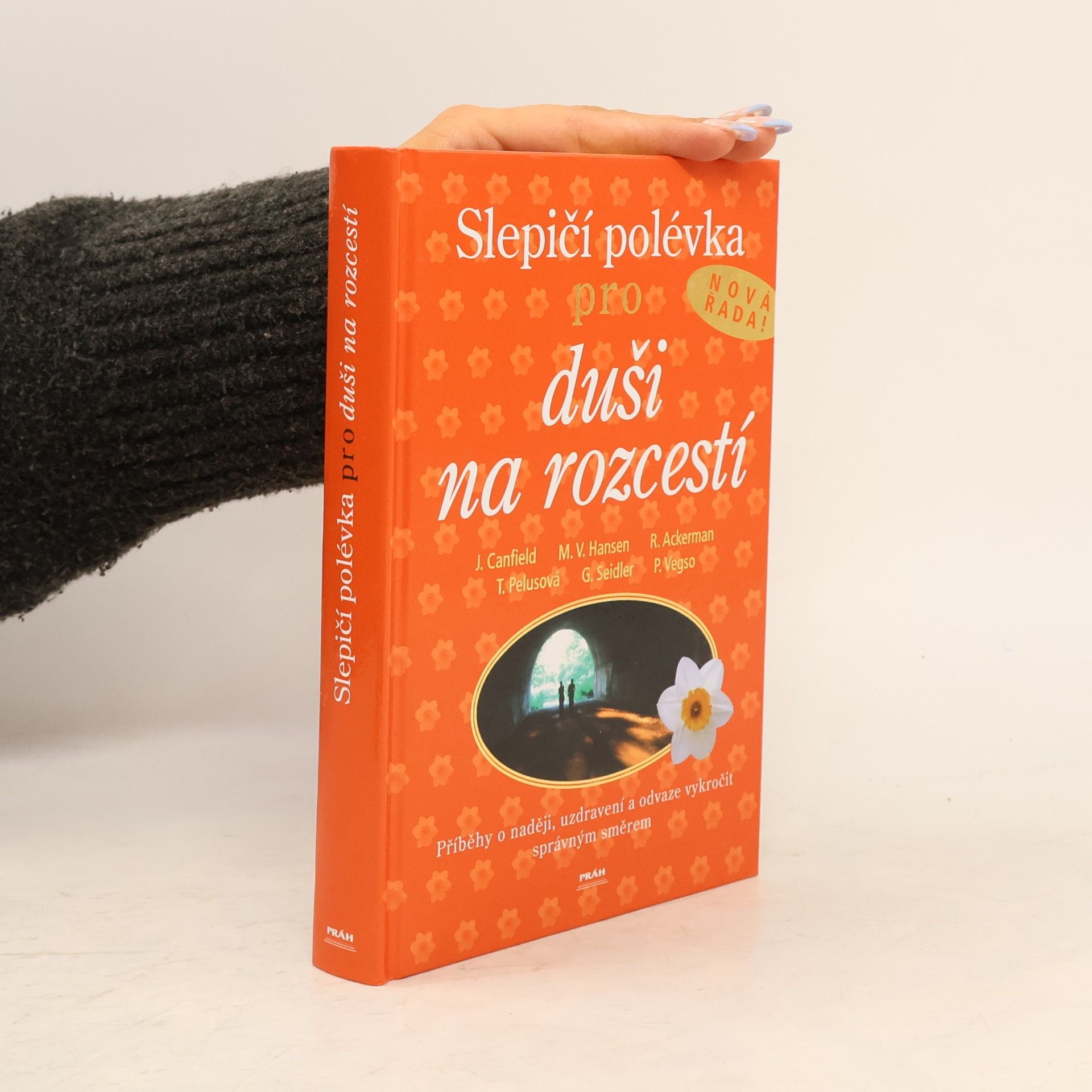 Slepičí polévka pro duši na rozcestí