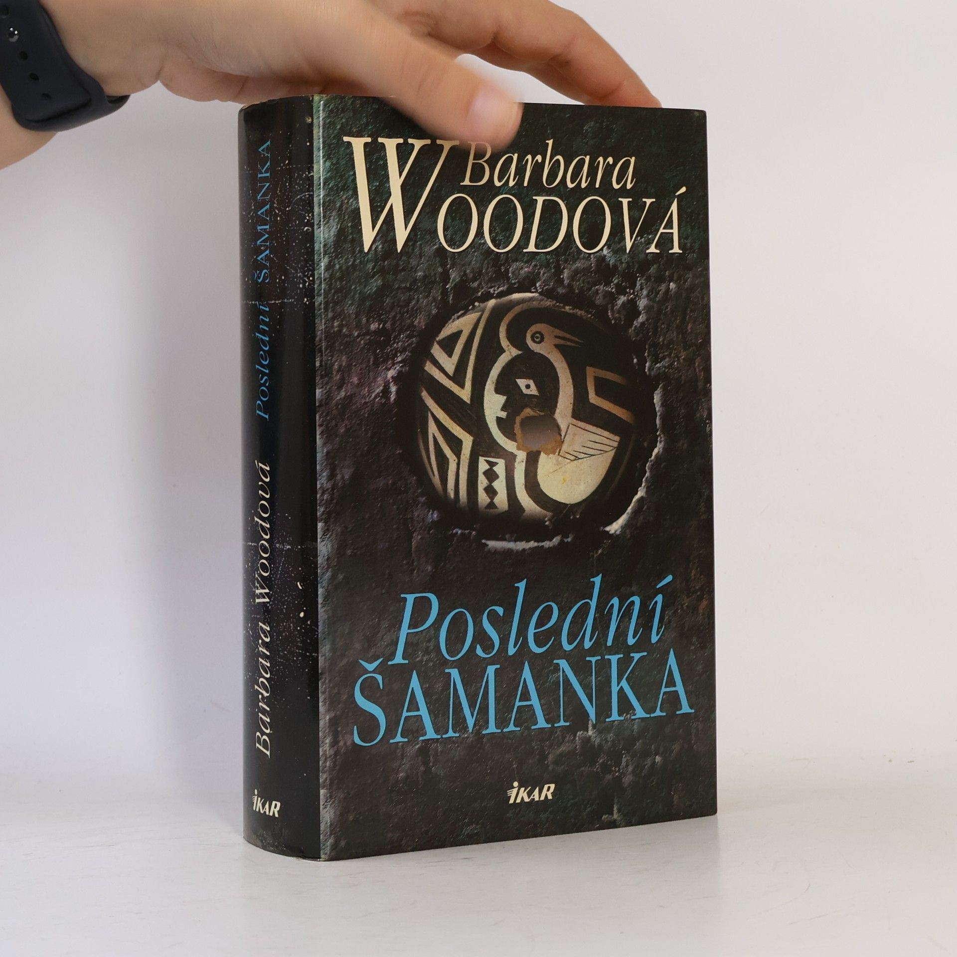 Barbara Wood Poslední šamanka