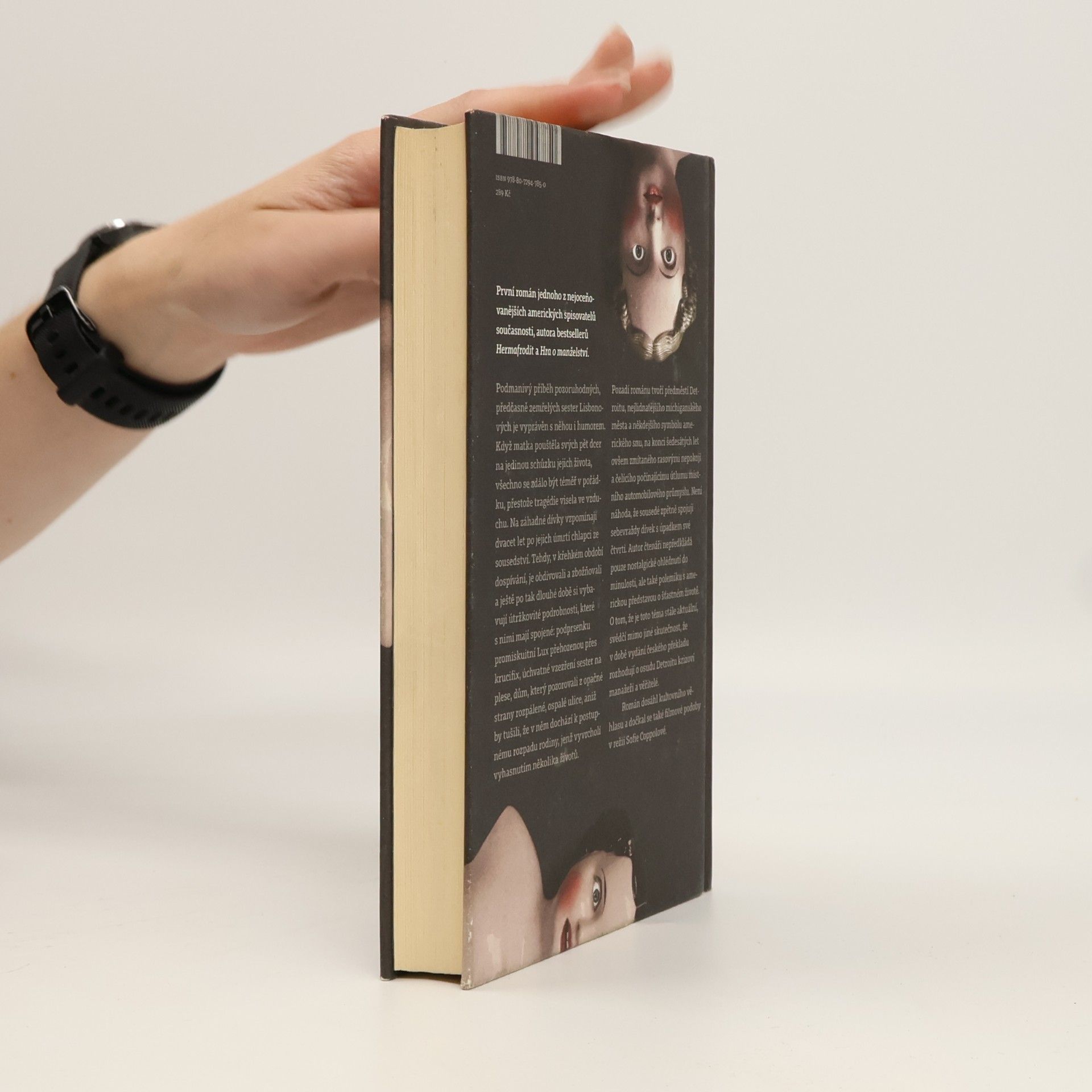 Jeffrey Eugenides Sebevraždy panen