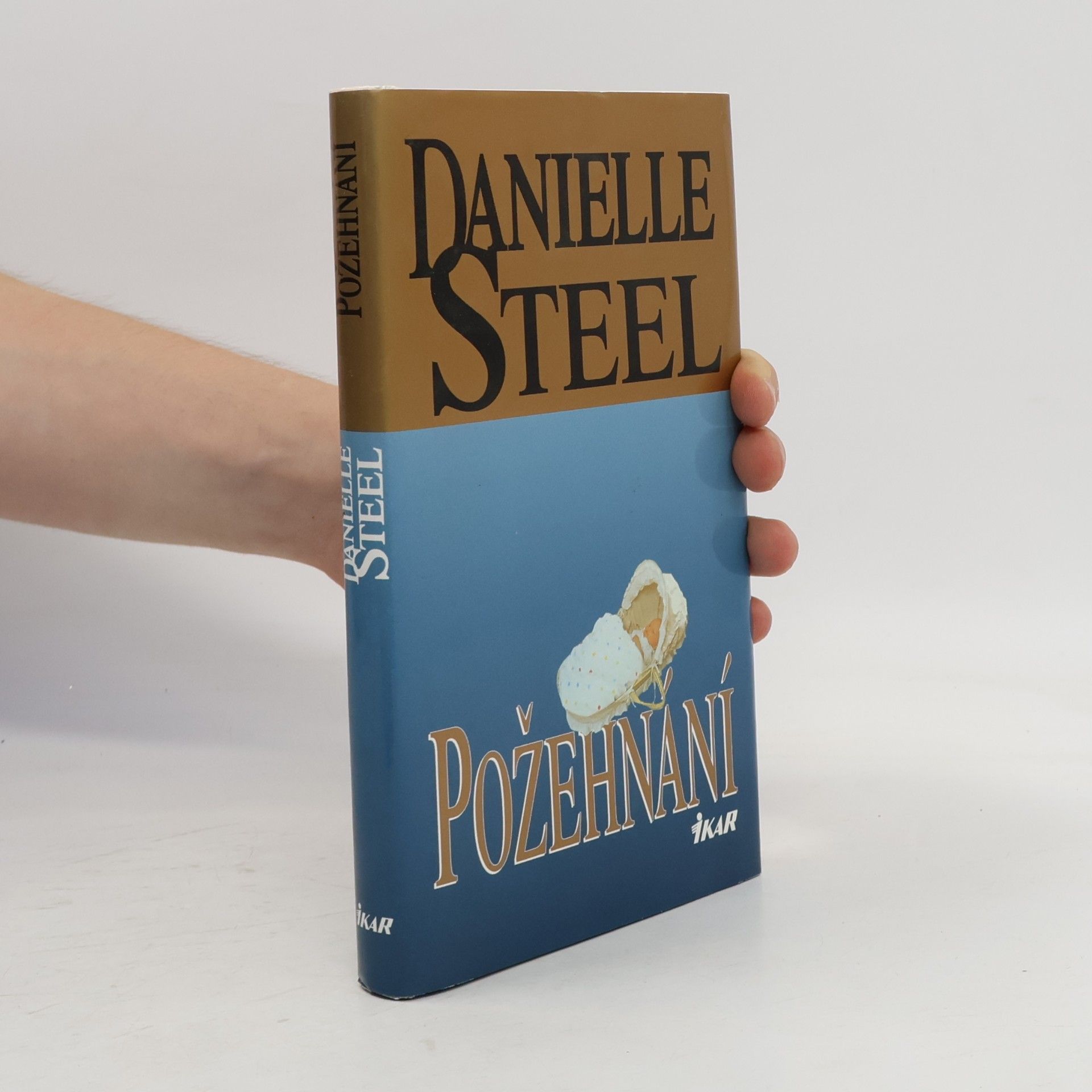 Danielle Steel Požehnání