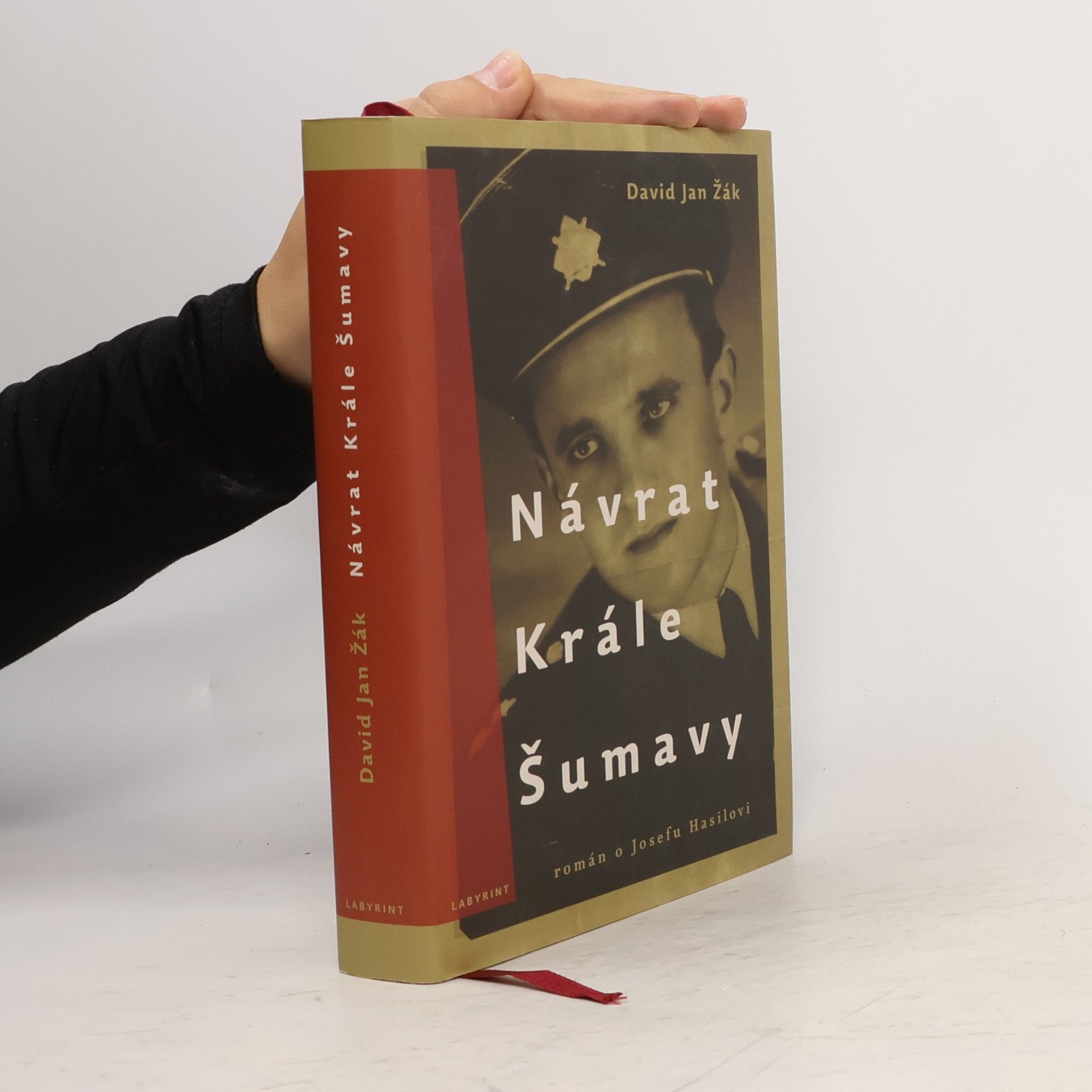 David Jan Žák Návrat Krále Šumavy