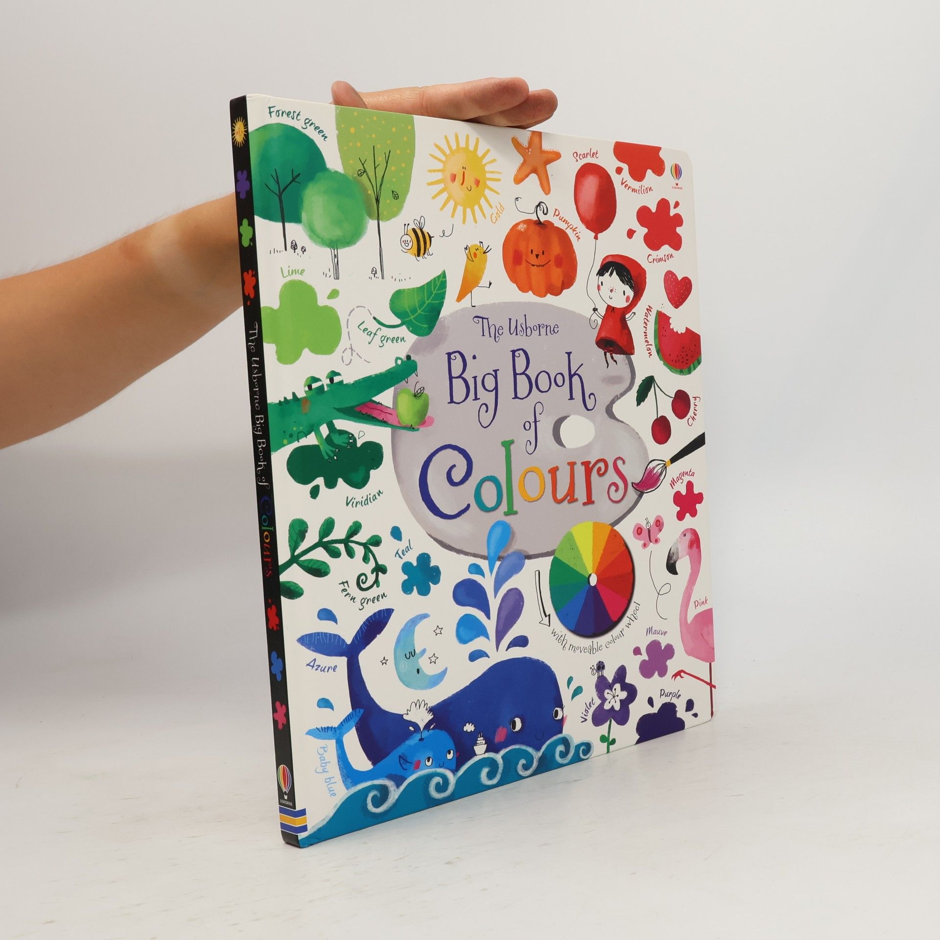 The Usborne big book of colours