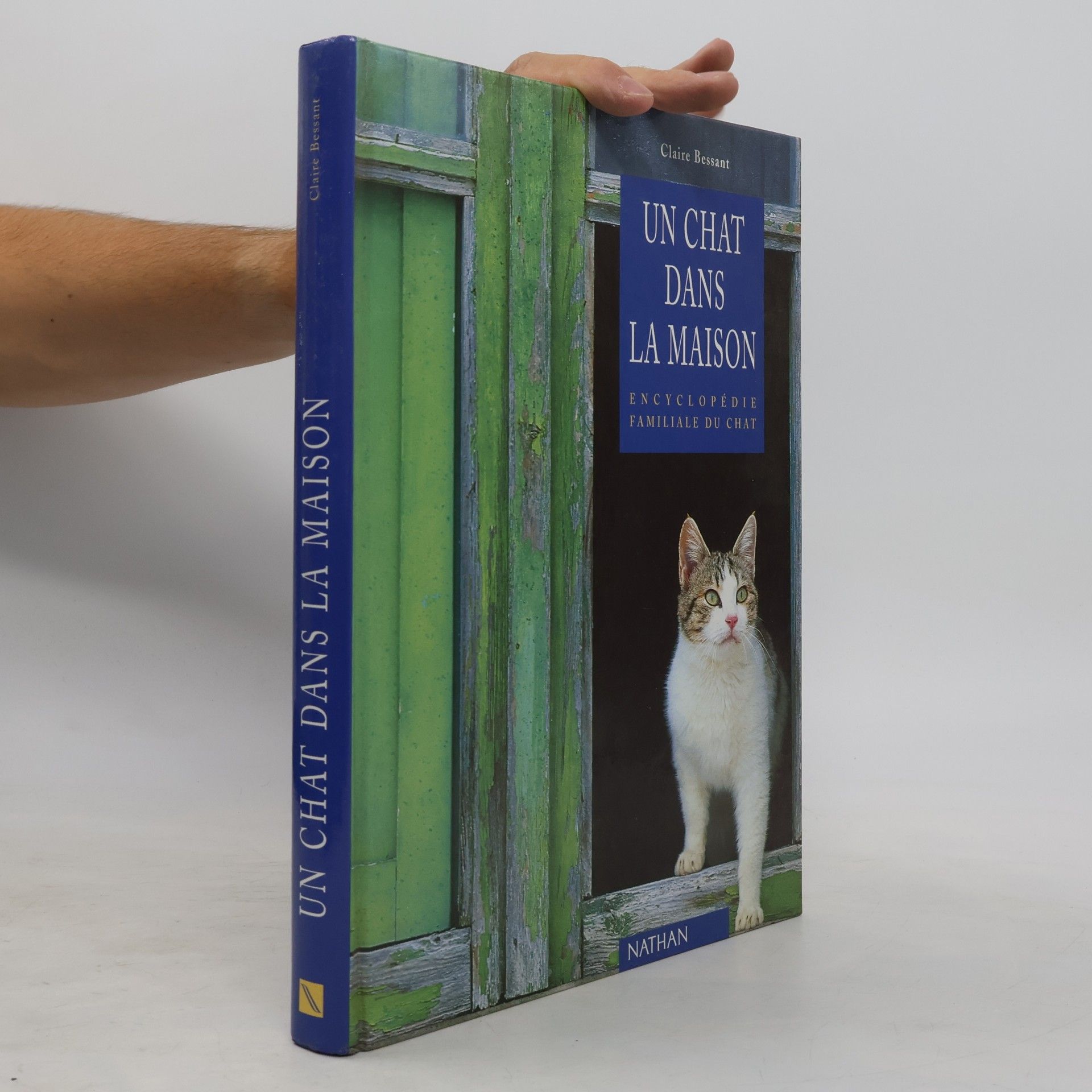 Claire Bessant Un chat dans la maison