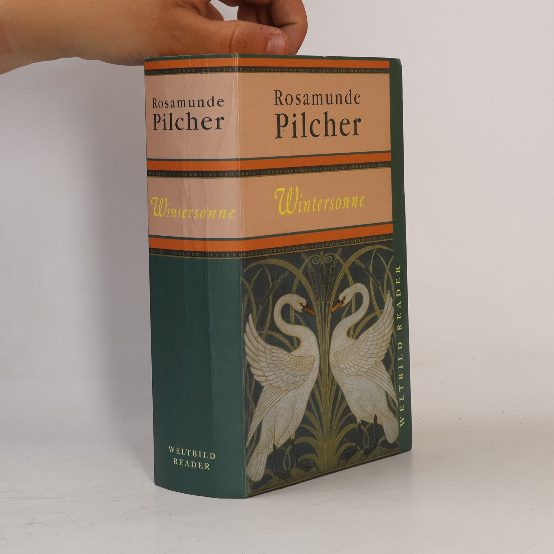 Rosamunde Pilcher Wintersonne