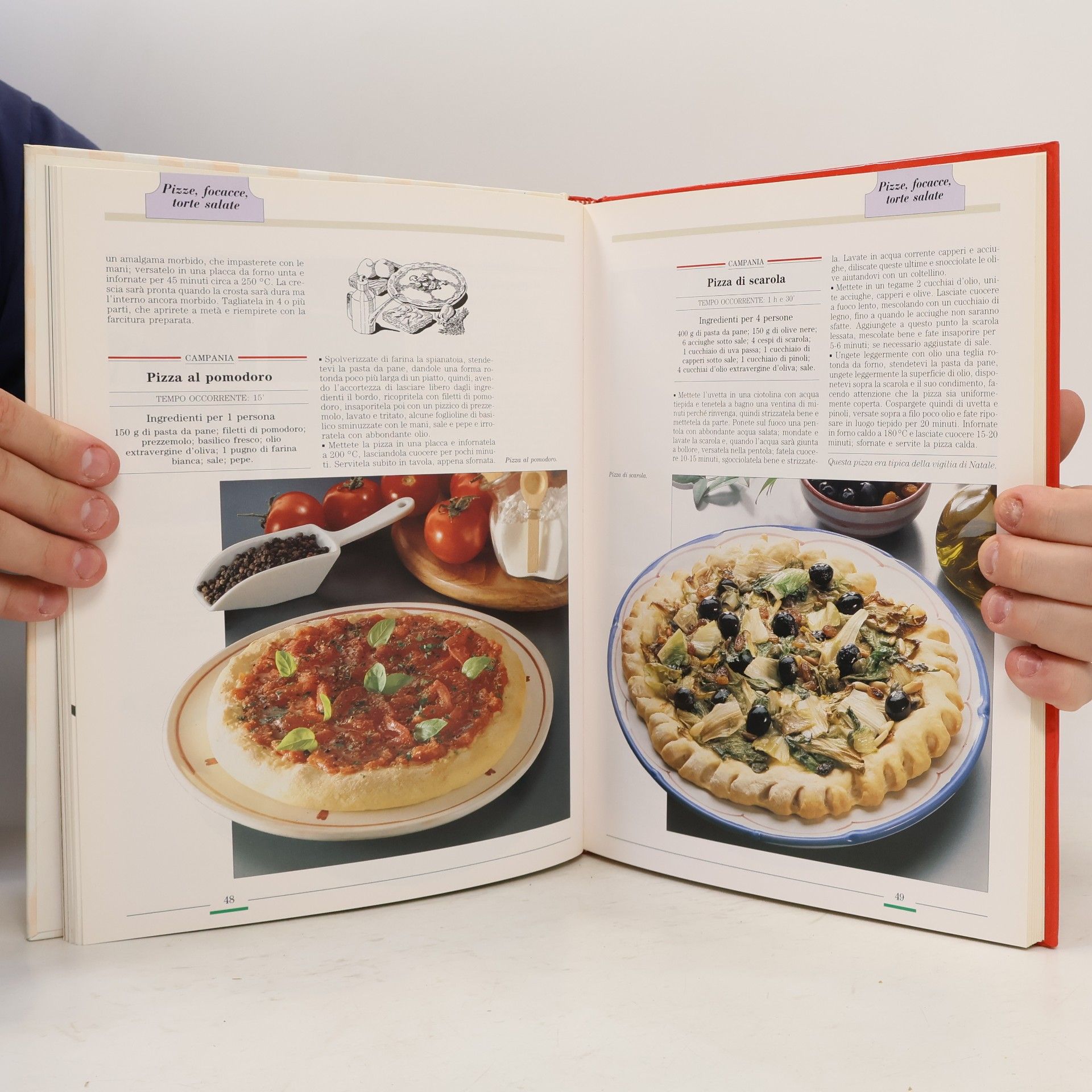 Ricette di pizze, focacce, torte salate
