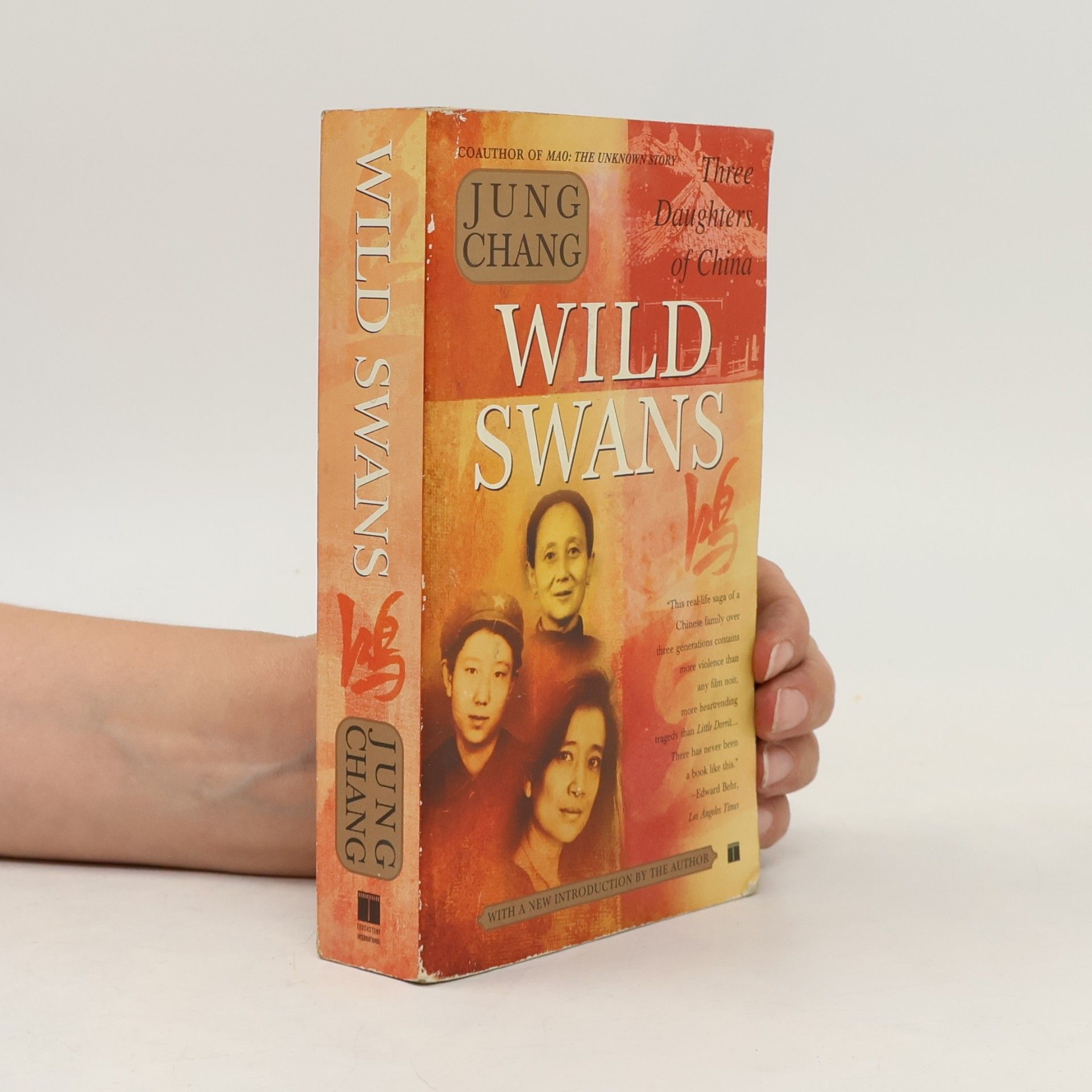Yong Chang Wild swans. Three daughters of China