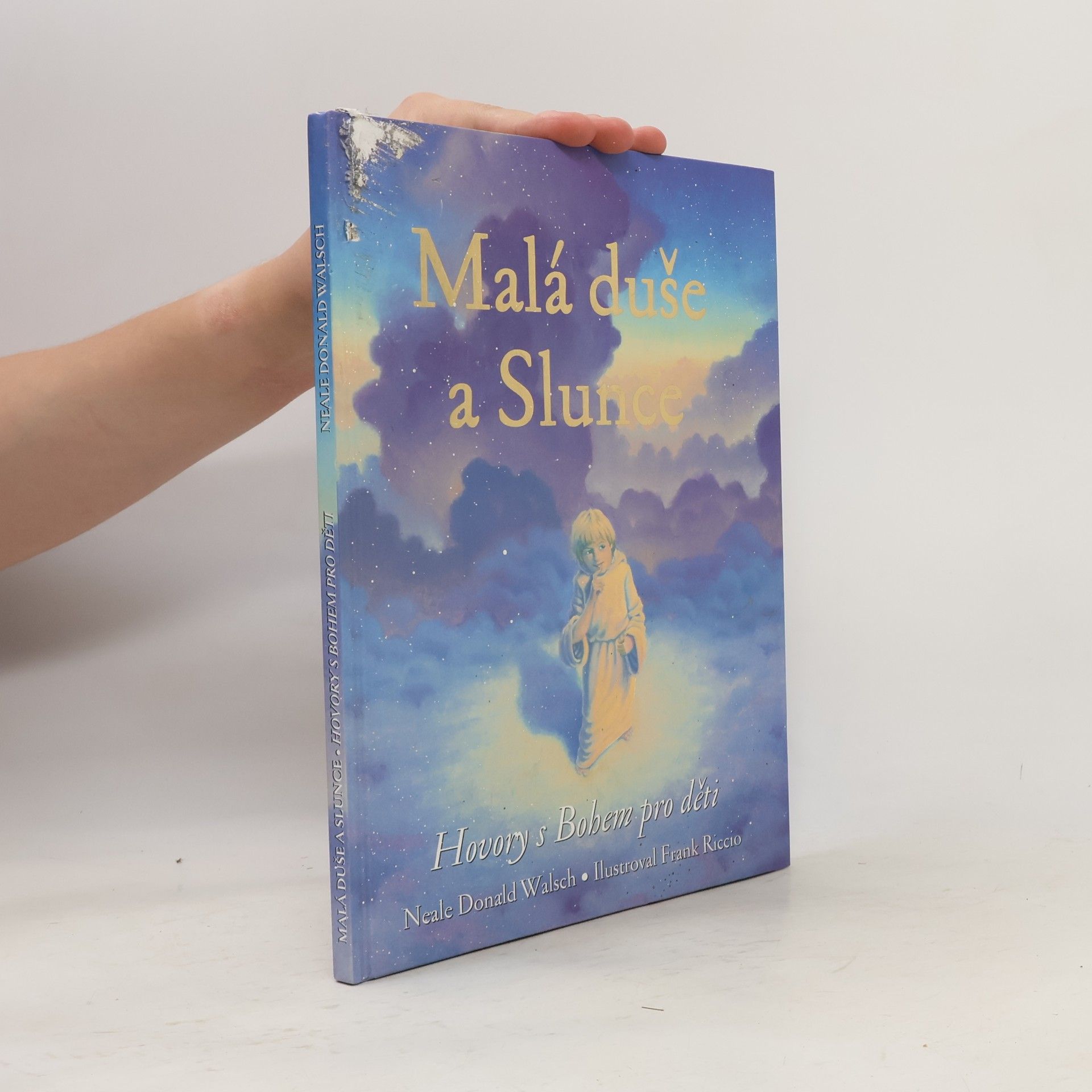 Neale Donald Walsch Malá duše a Slunce: Hovory s Bohem pro děti