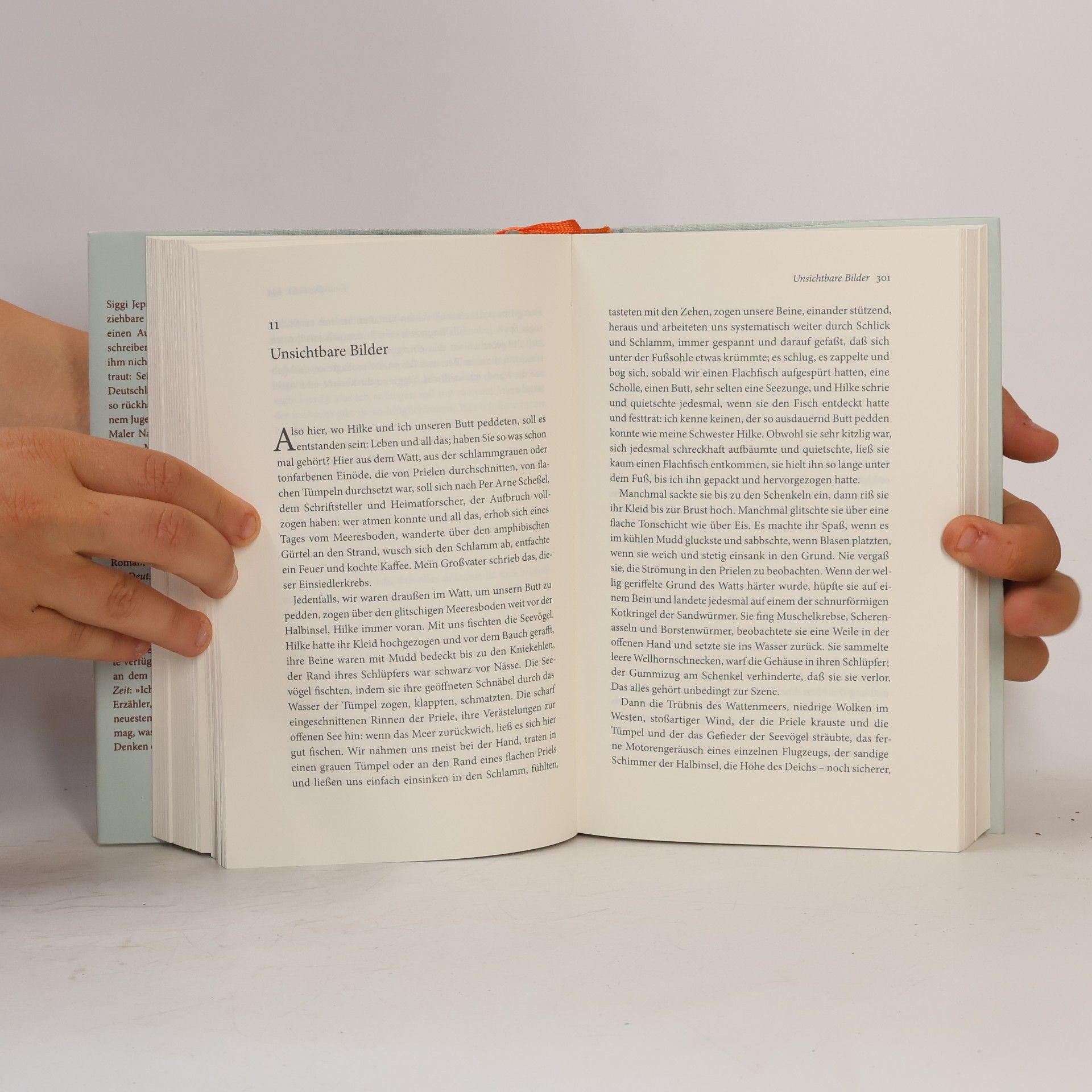 Siegfried Lenz Hamburger Ausgabe - 7: Deutschstunde