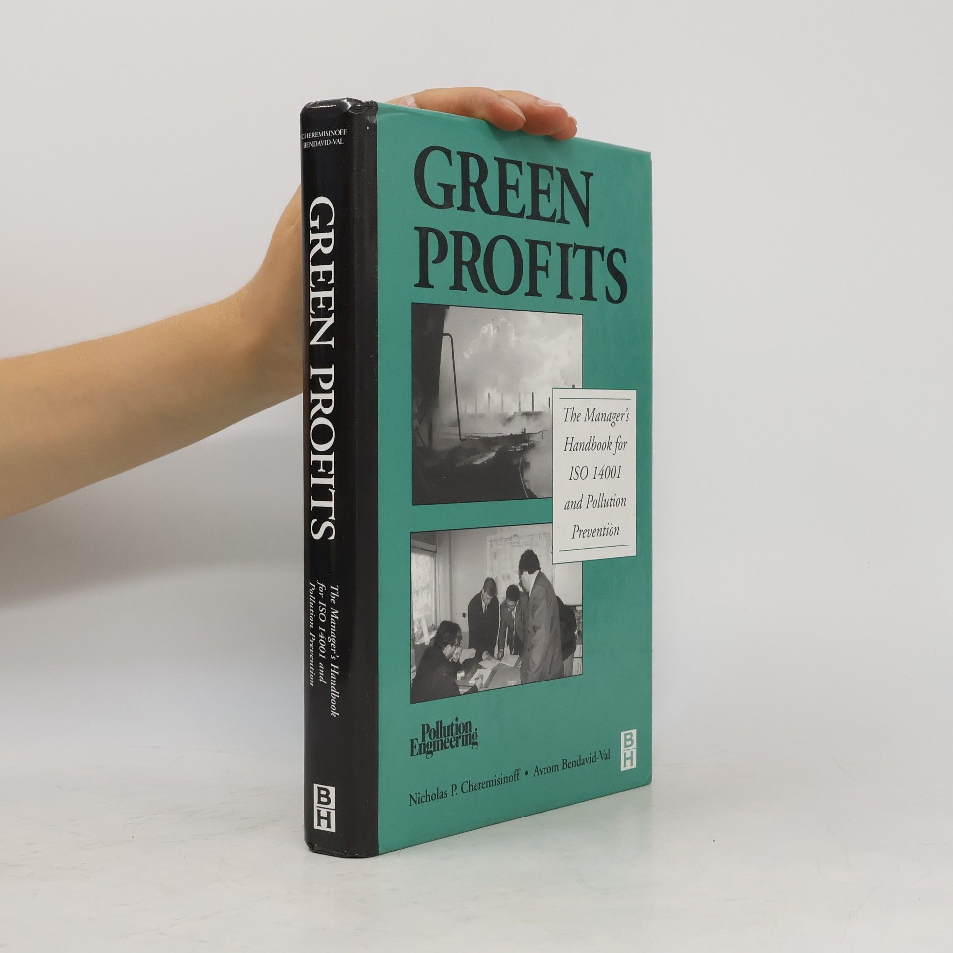 Avrom Bendavid-Val Pollution Engineering: Green Profits