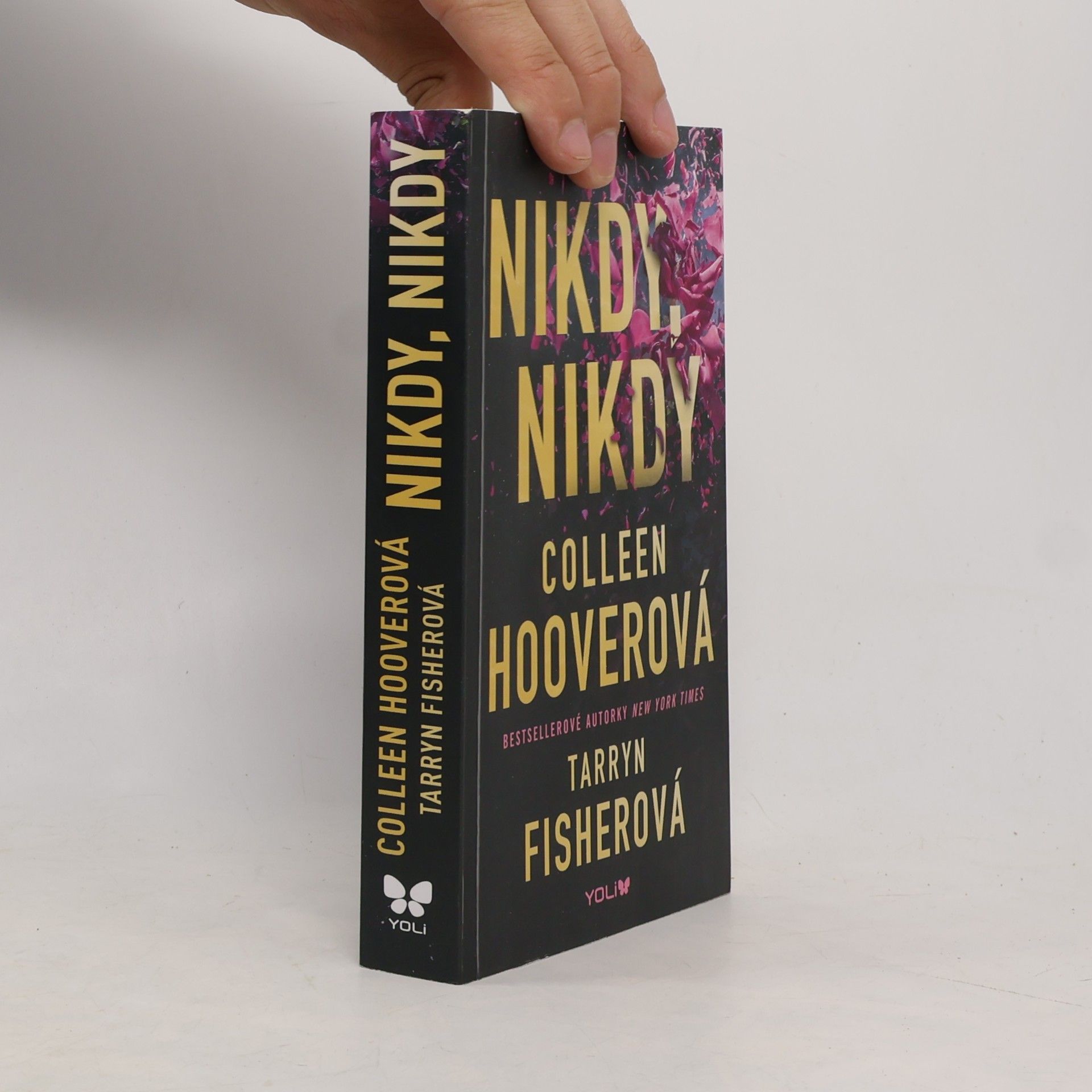 Colleen Hoover Nikdy, nikdy