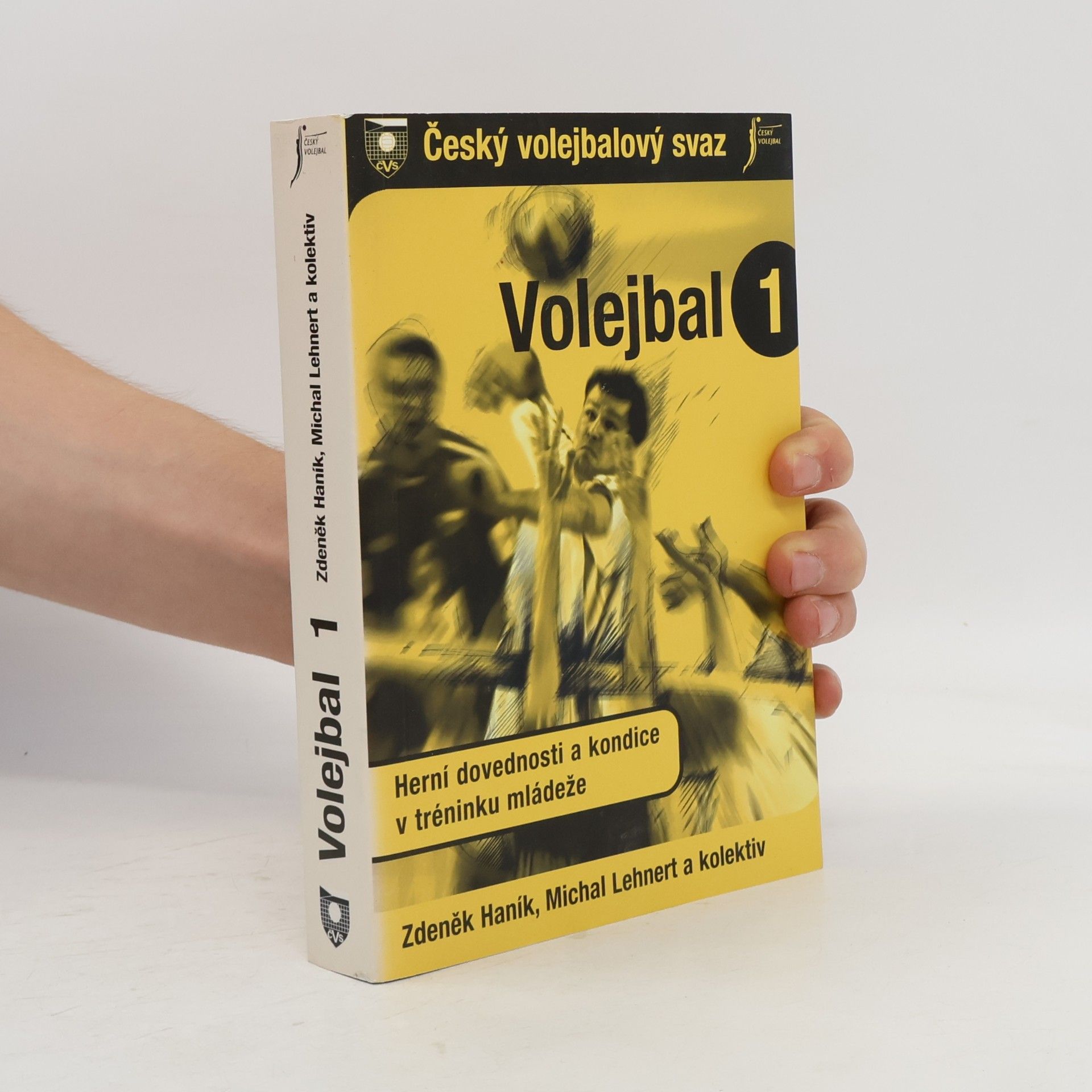 Michal Lehnert Volejbal 1