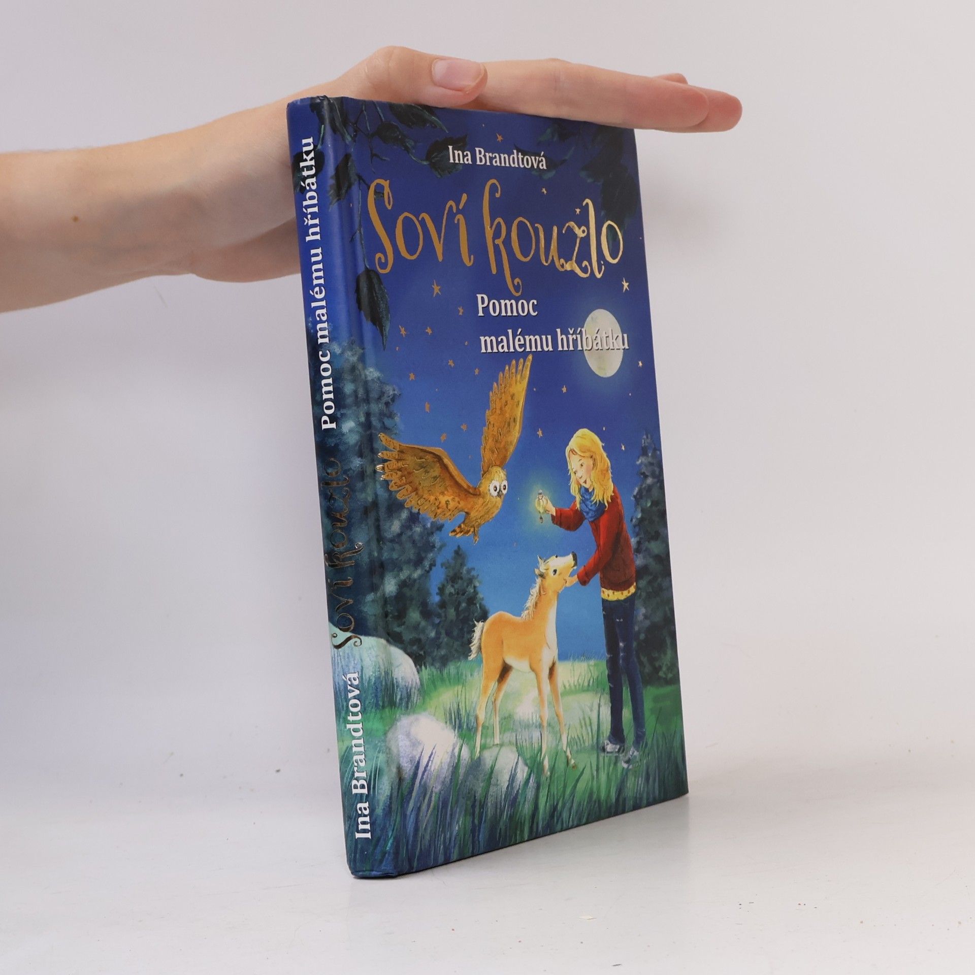 Irene Mohr Soví kouzlo. Pomoc malému hříbátku