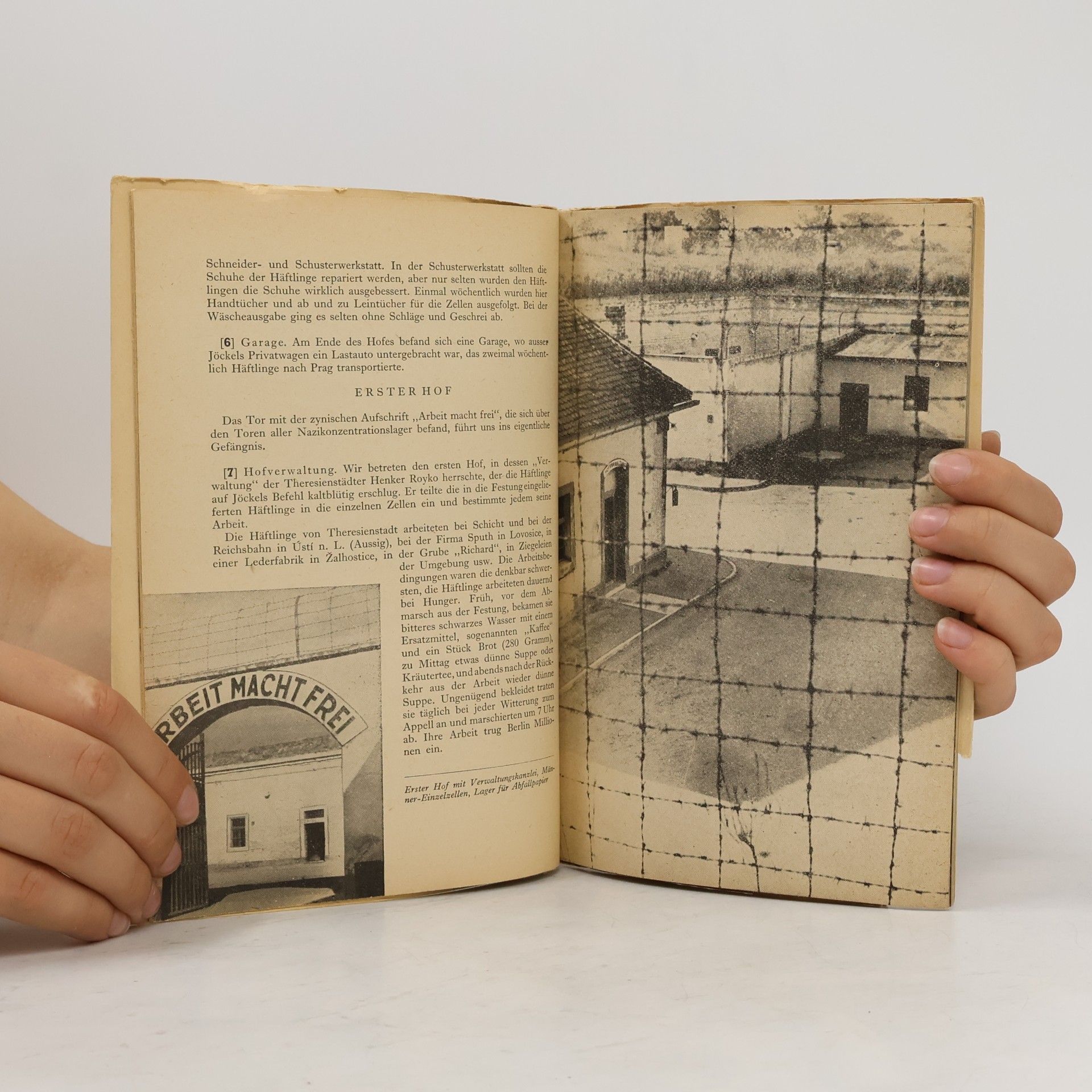 Táňa Kulišová Kleine Festung Theresienstadt Ghetto