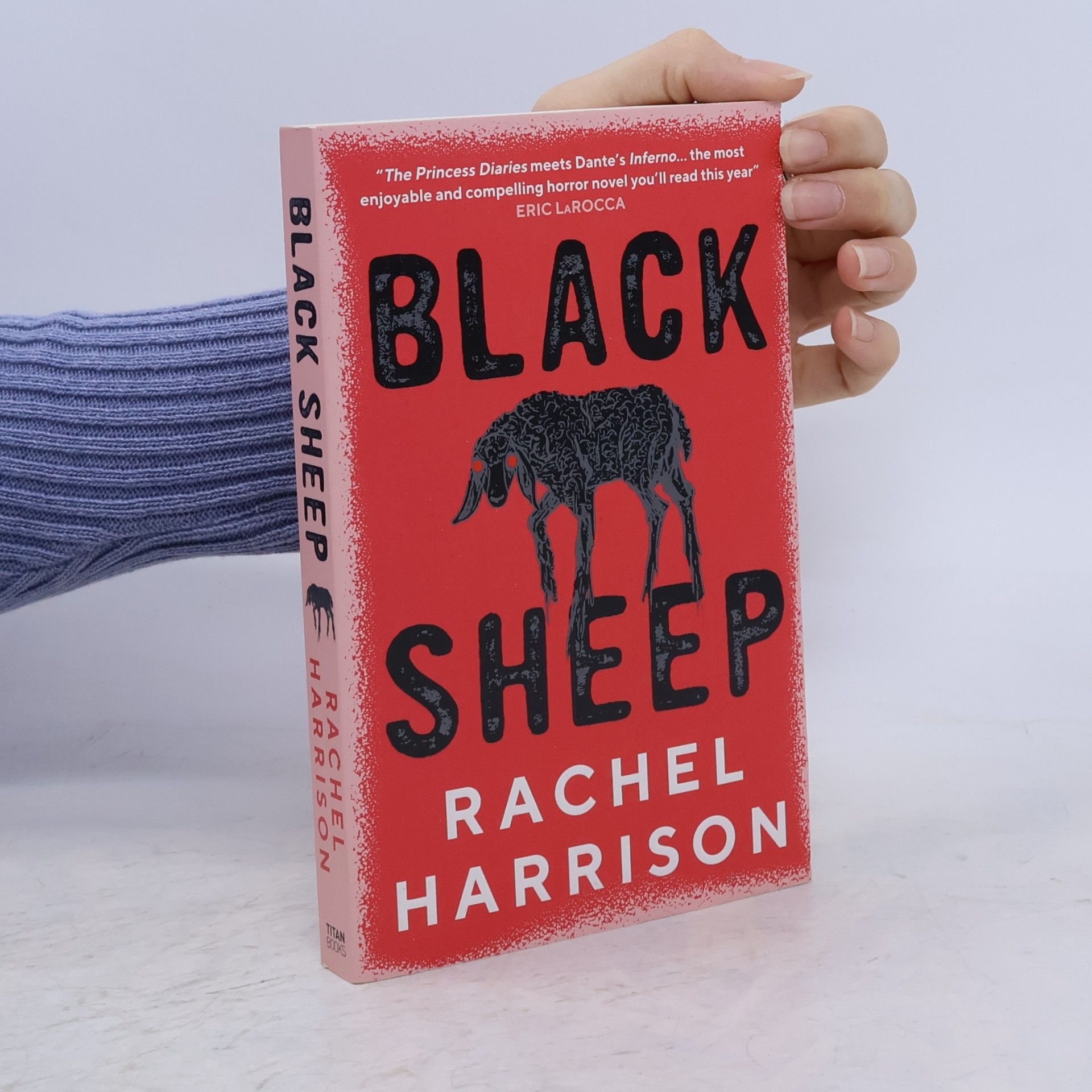 Rachel Harrison Black Sheep
