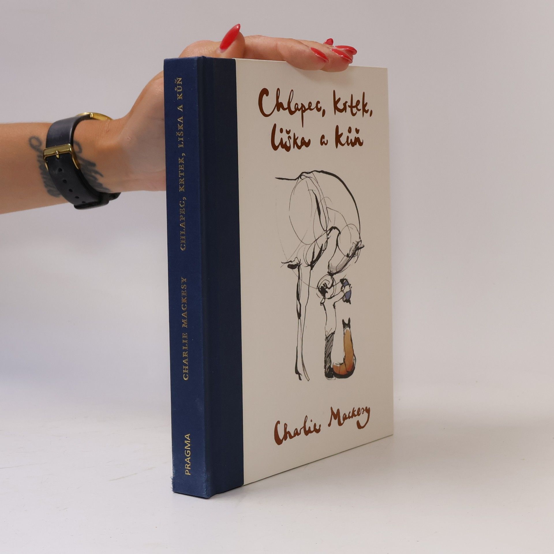 Charlie Mackesy Chlapec, krtek, liška a kůň