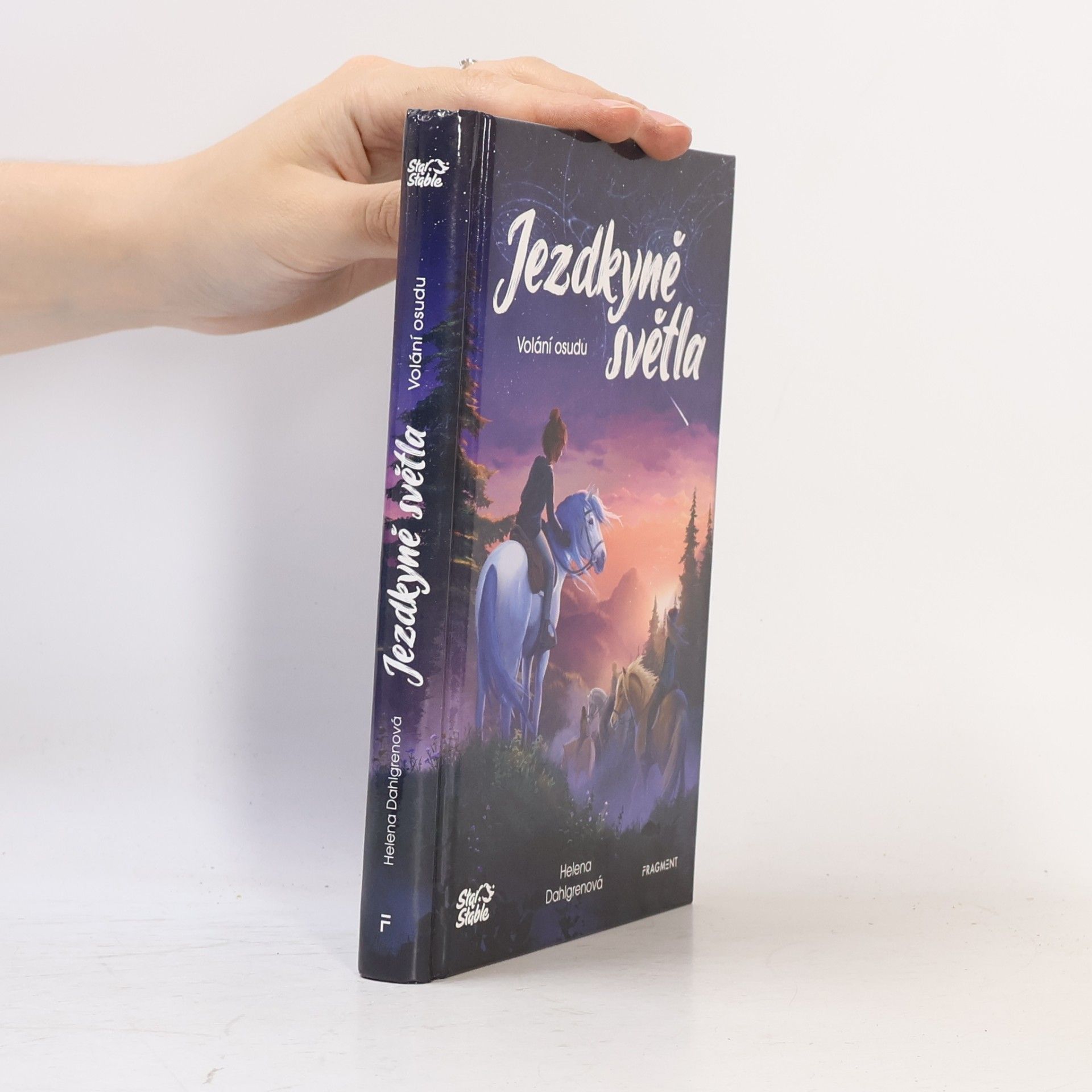 Helena Dahlgren Jezdkyně světla. Volání osudu