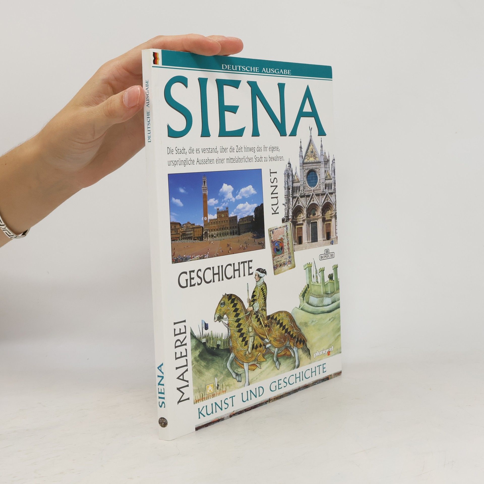 Autores varios Siena: Kunst und Geschichte