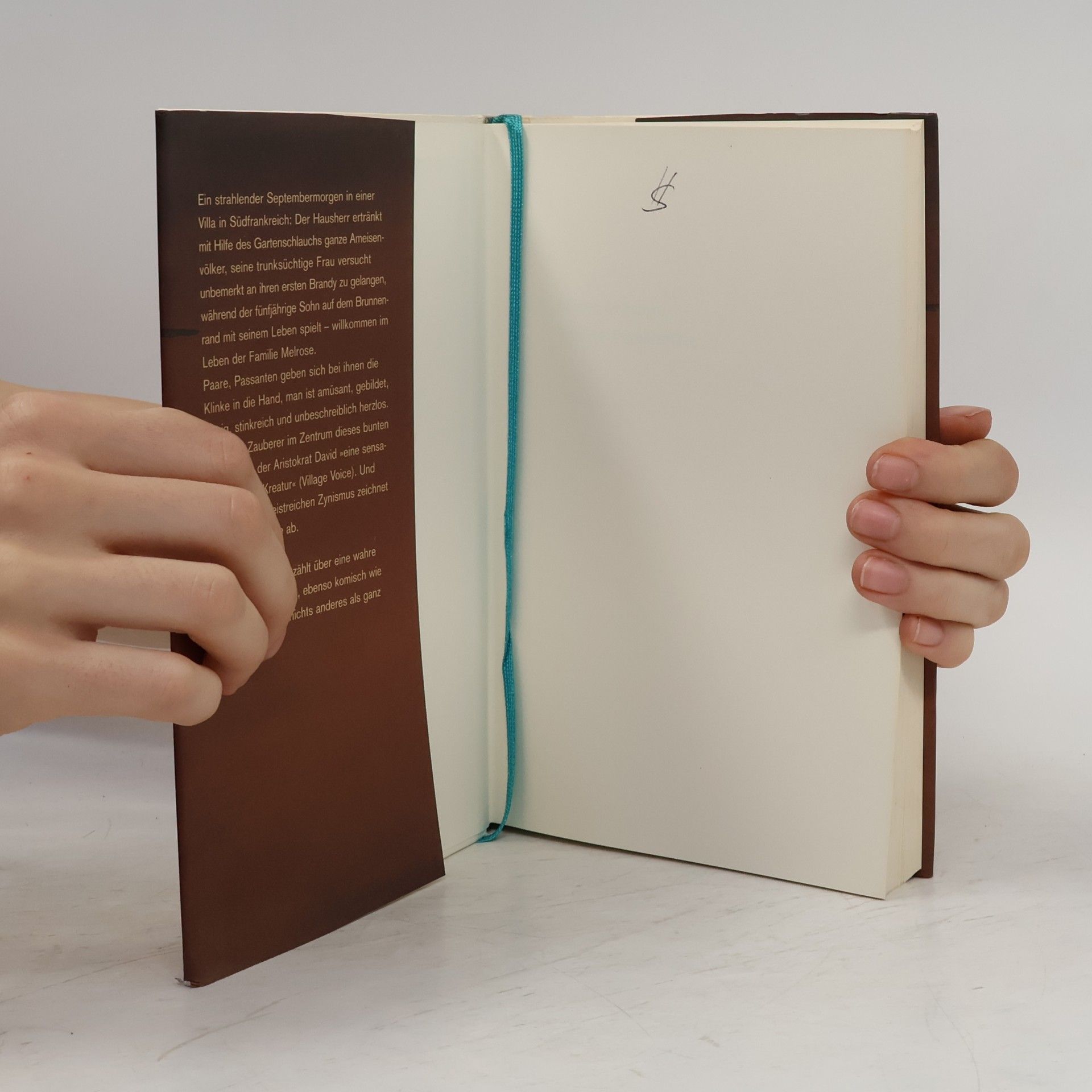 Edward St Aubyn Schöne Verhältnisse
