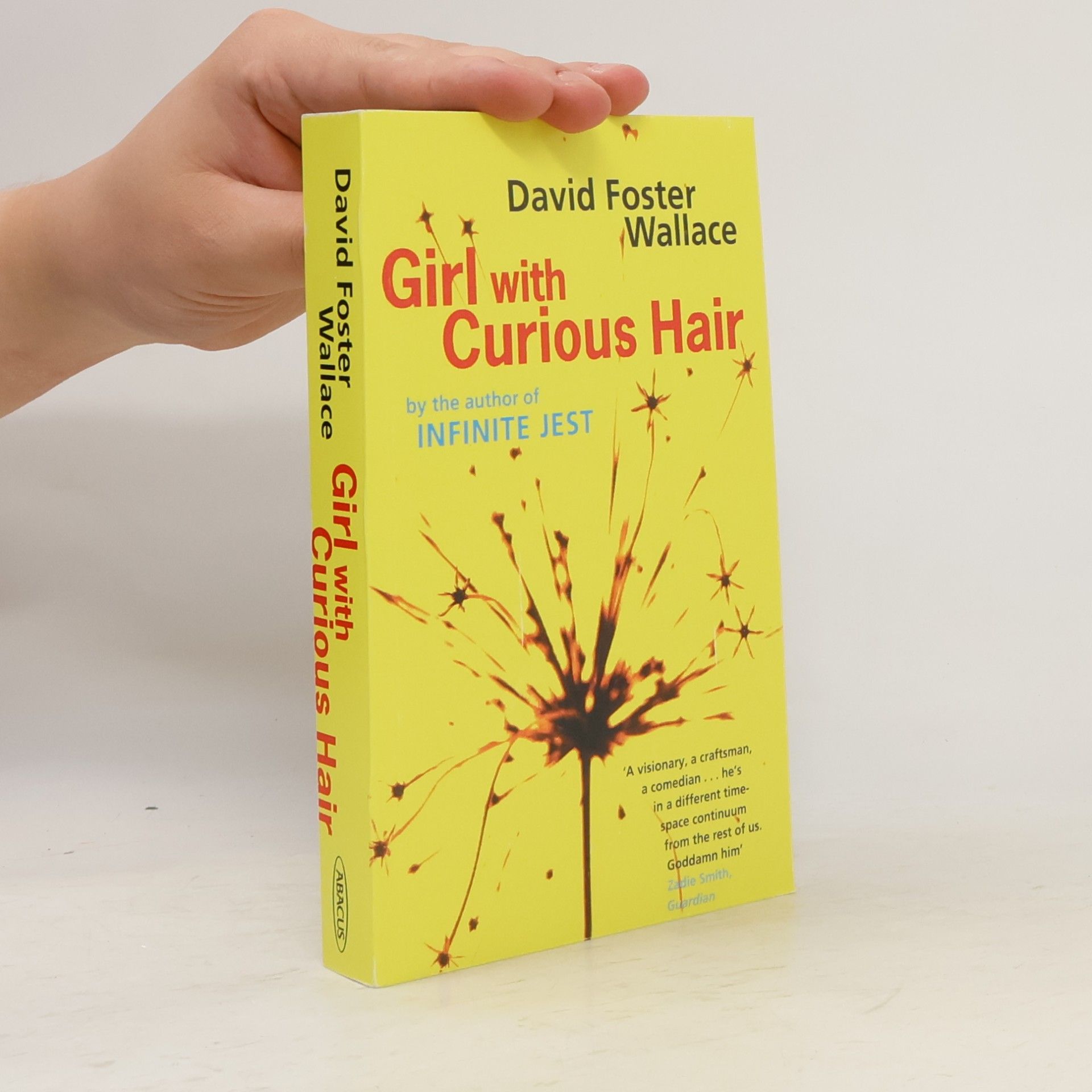 David Foster Wallace Girl with Curious Hair