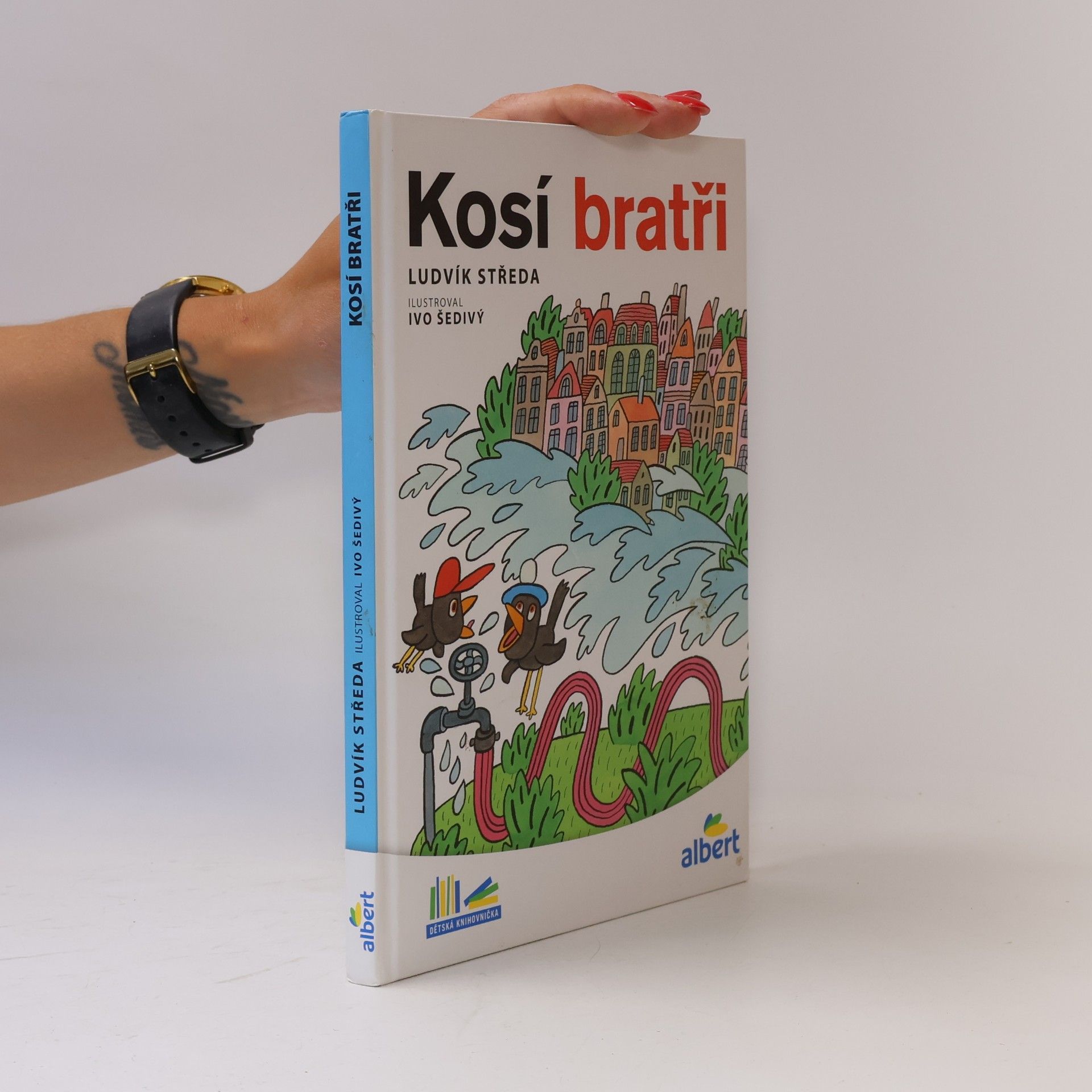 Ludvík Středa Kosí bratři