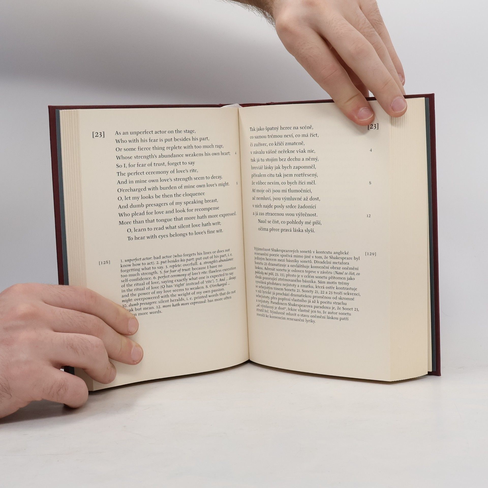 William Shakespeare Sonety. The sonnets