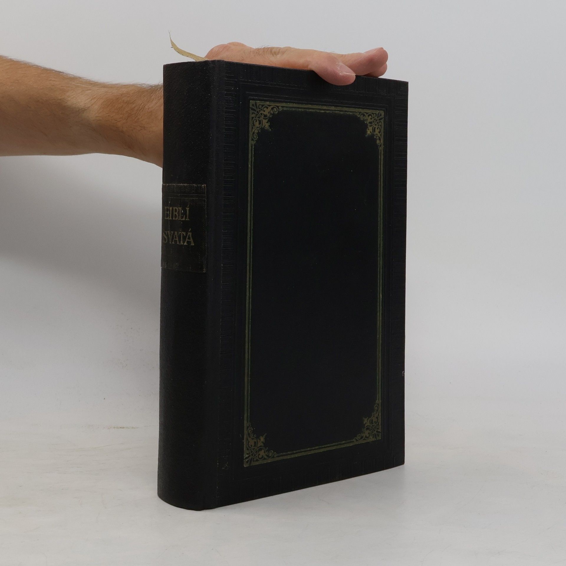 Autorenkollektiv Kralická Biblí svatá, to jest: Svatá písma Starého i Nového zákona