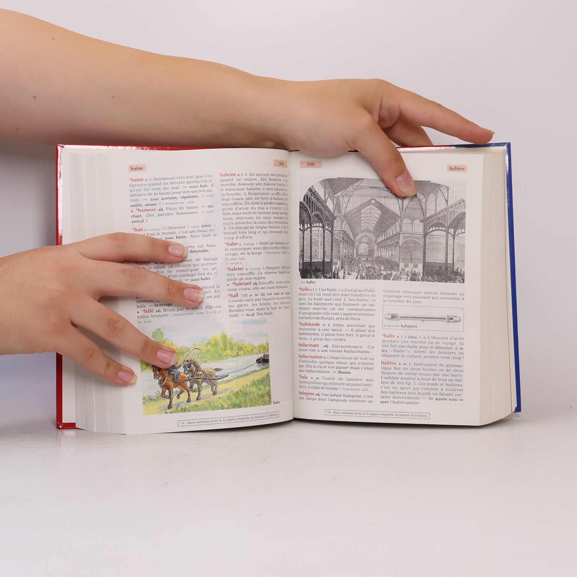 Distribooks, Inc Robert Junior Export