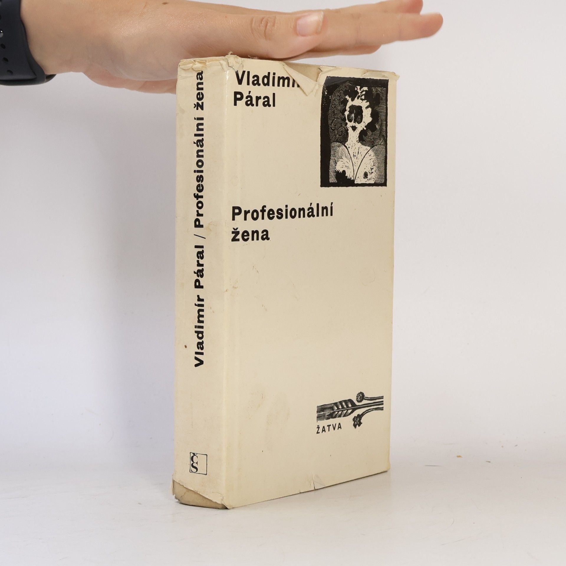 Vladimír Páral Profesionální žena